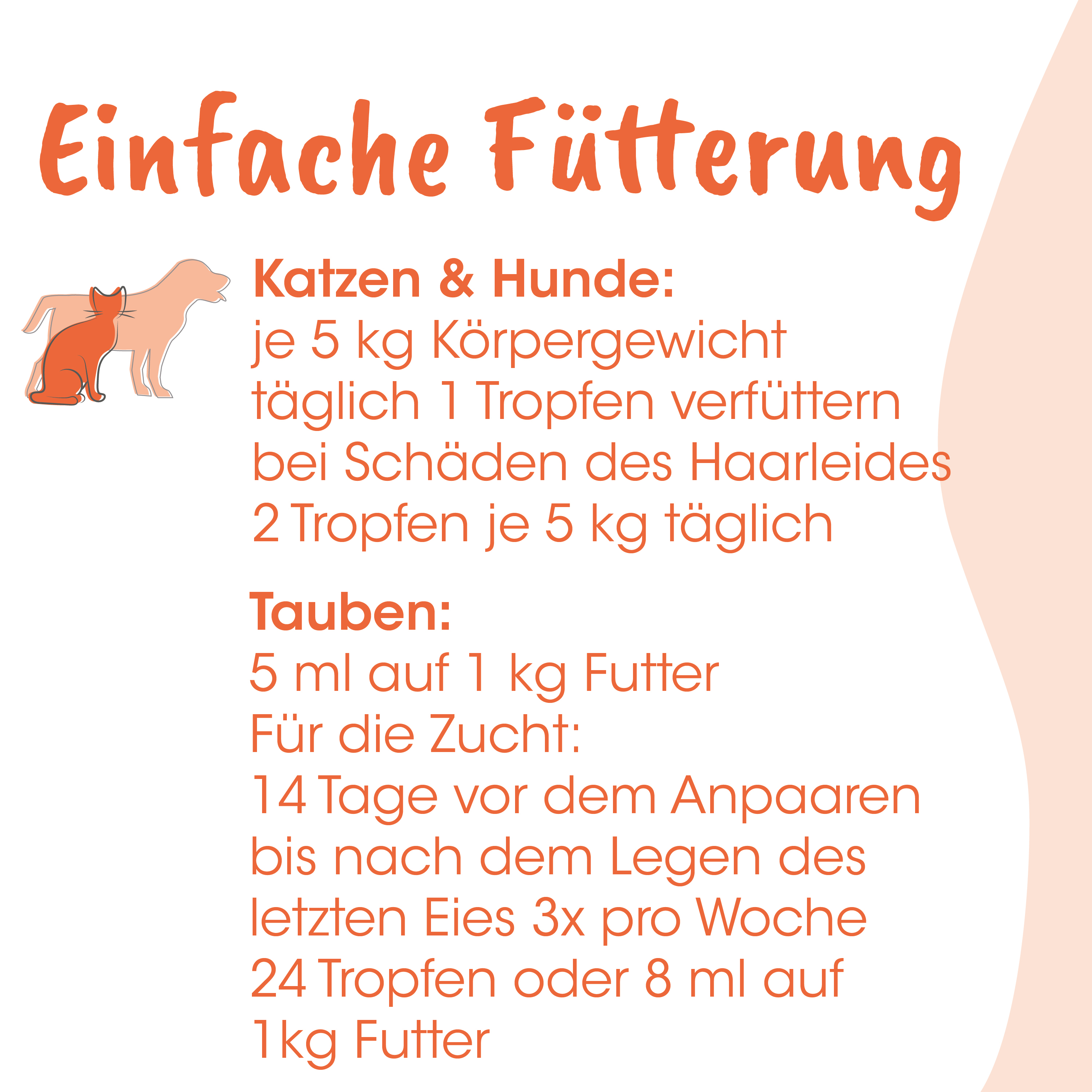 Katzen-Illustration, Katze und Hund, orange Text, Futter-Infografik, Tiernahrung