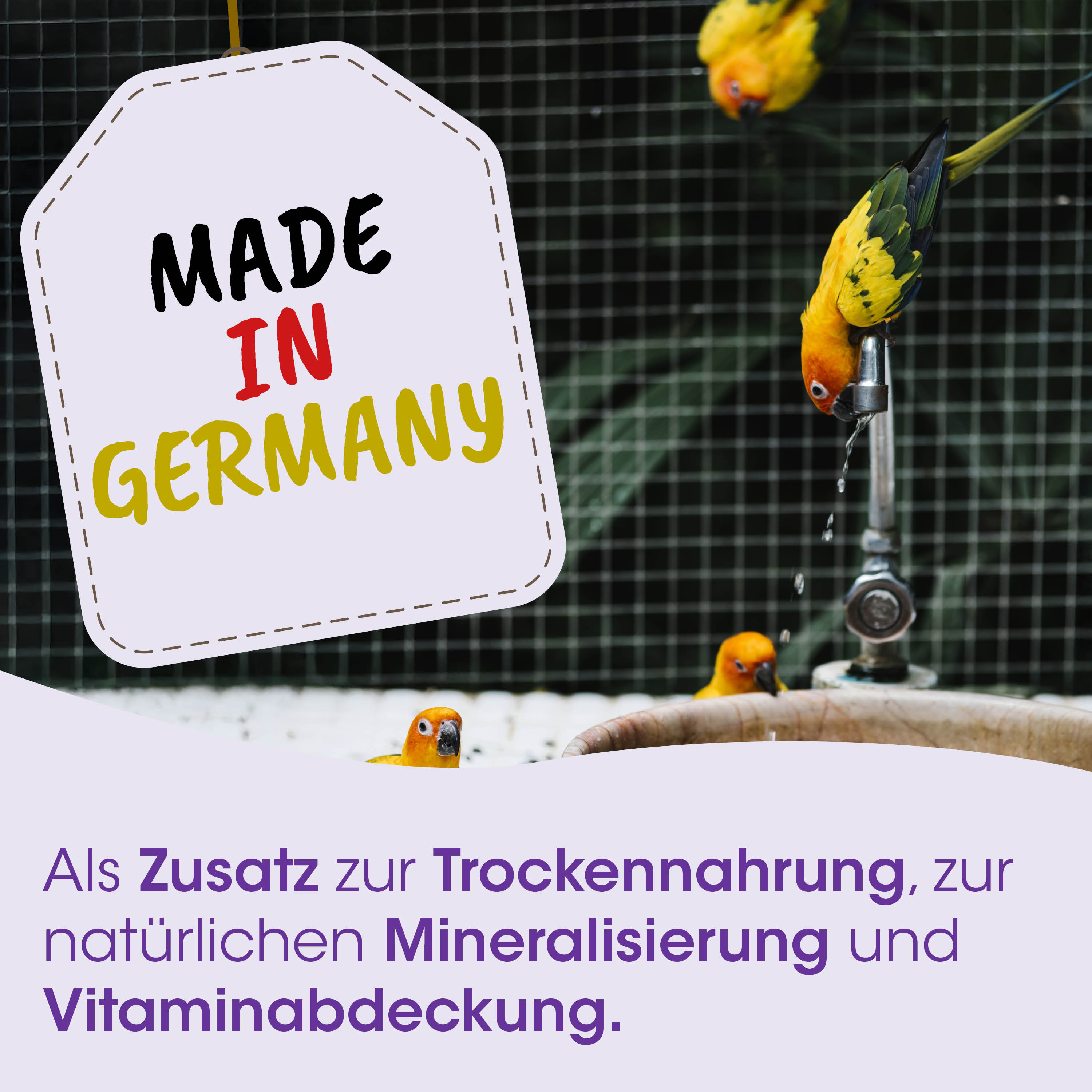 Made in Germany, Vogeltränke, Papagei, Wasserhahn, Mineralergänzung