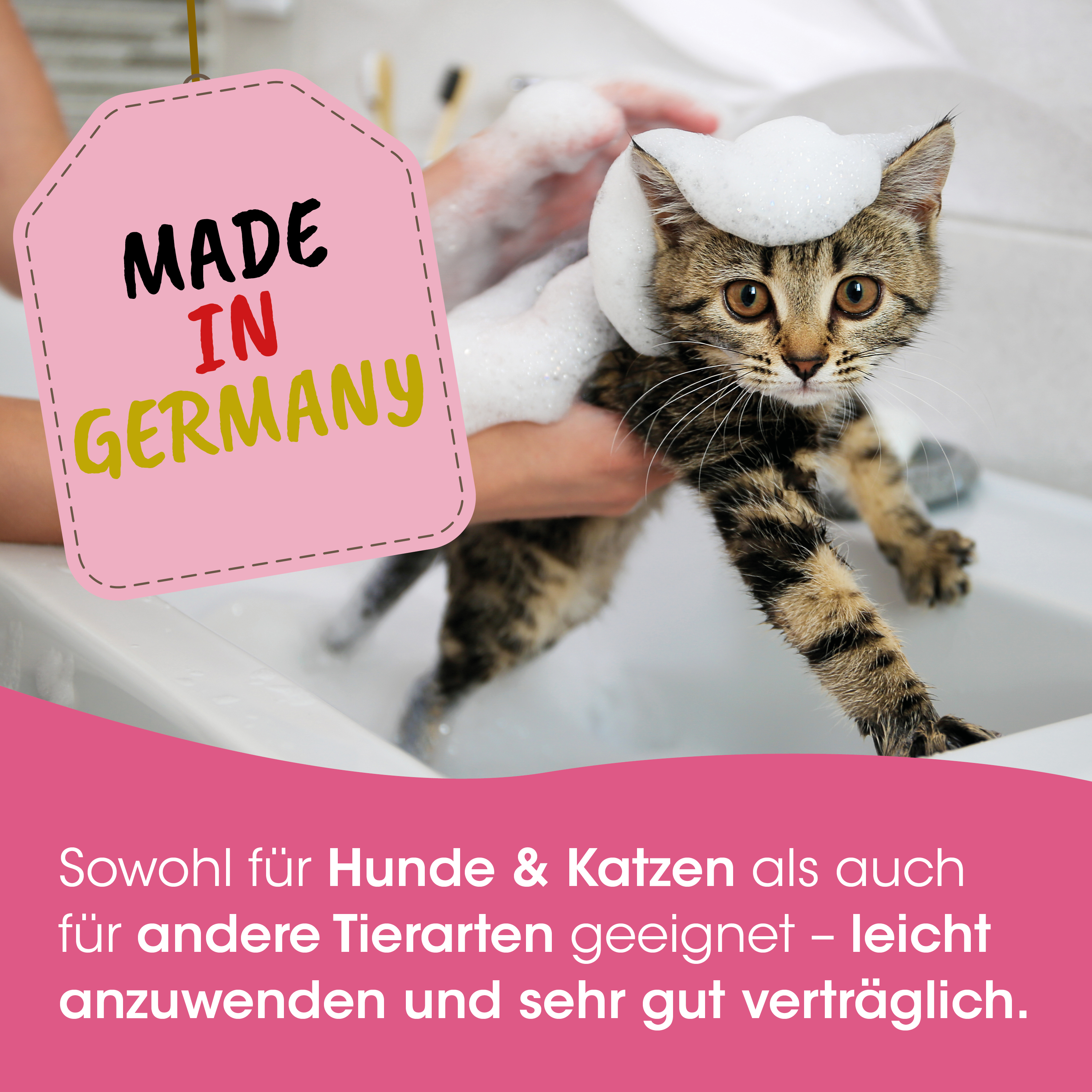 katze, katzenträumer, handwäsche, tierpflege, schule?