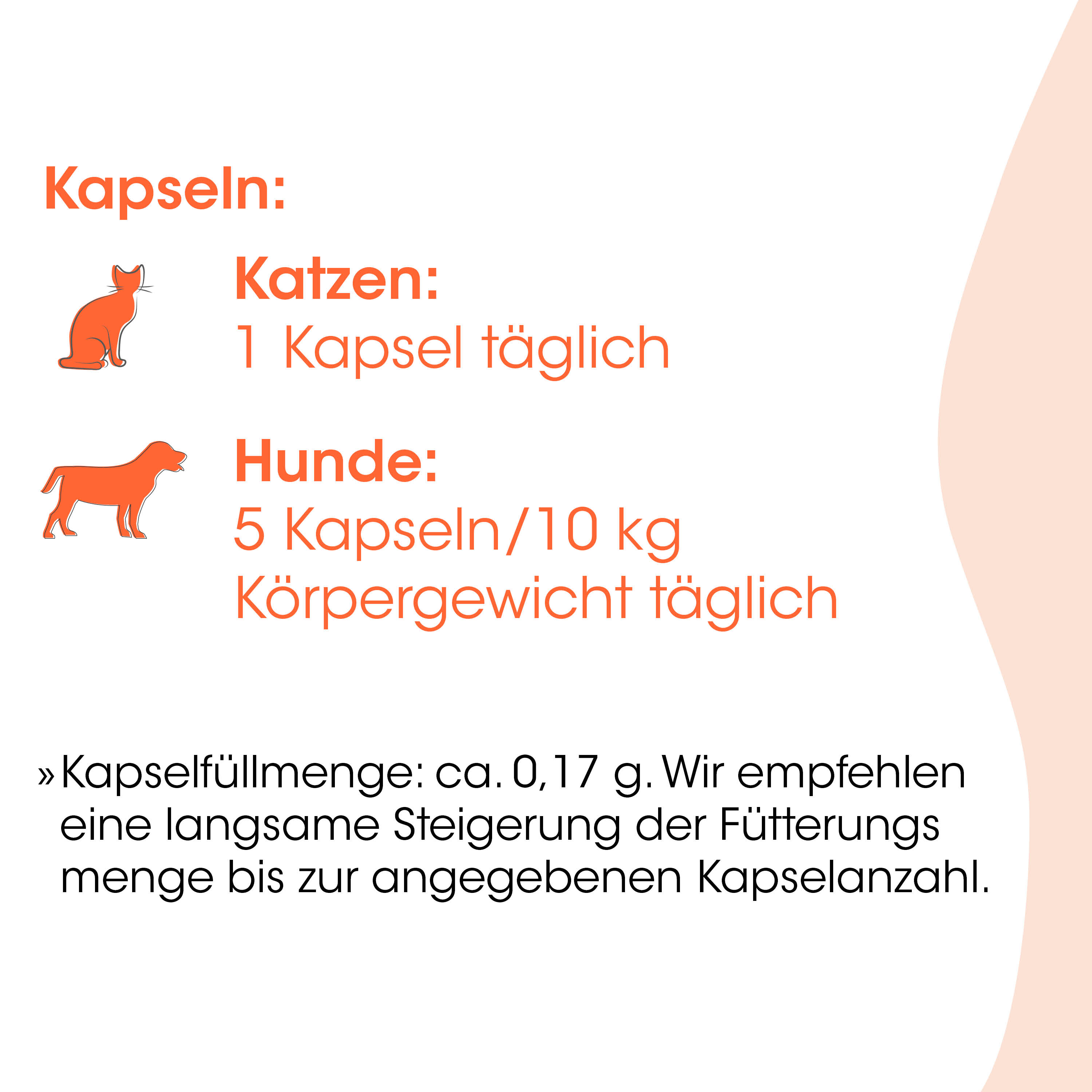 Kapseln, Katzen, Katzenfutter, Katzenmilch, Katzenbedarf