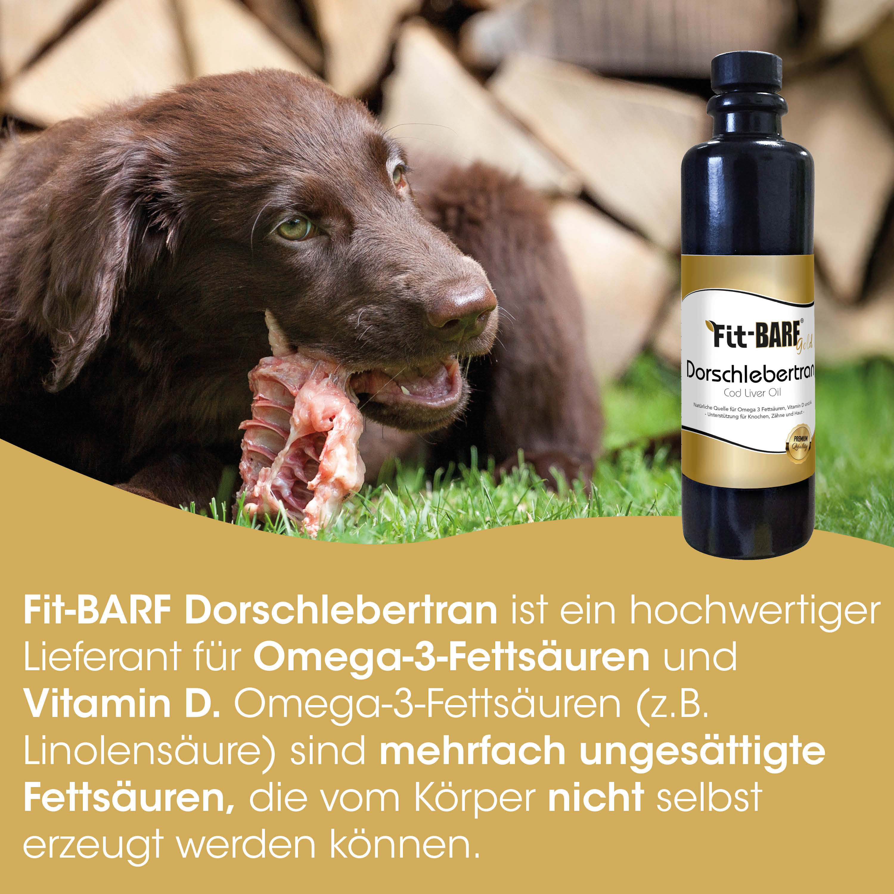 hund, hunde knabberei, knochen, olie flasche, omega-fettsäuren