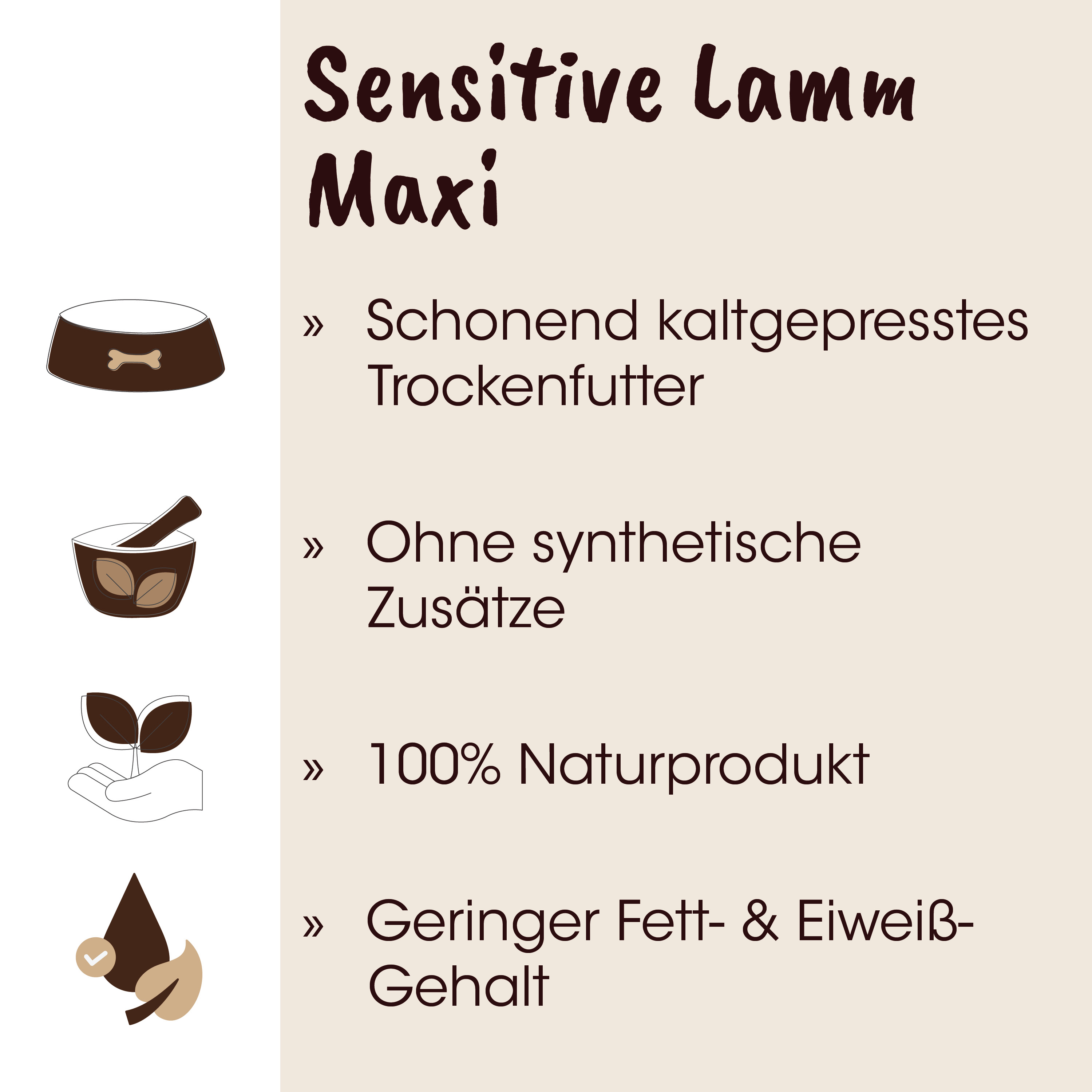 Hundeschale, Schüssel, Tiernapf, Brunnen, Tierfutter