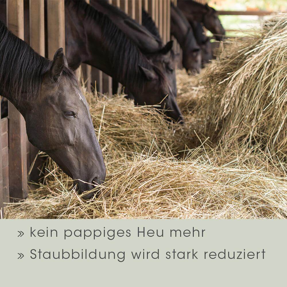 EquiGreen Heu Protect 2,5 L