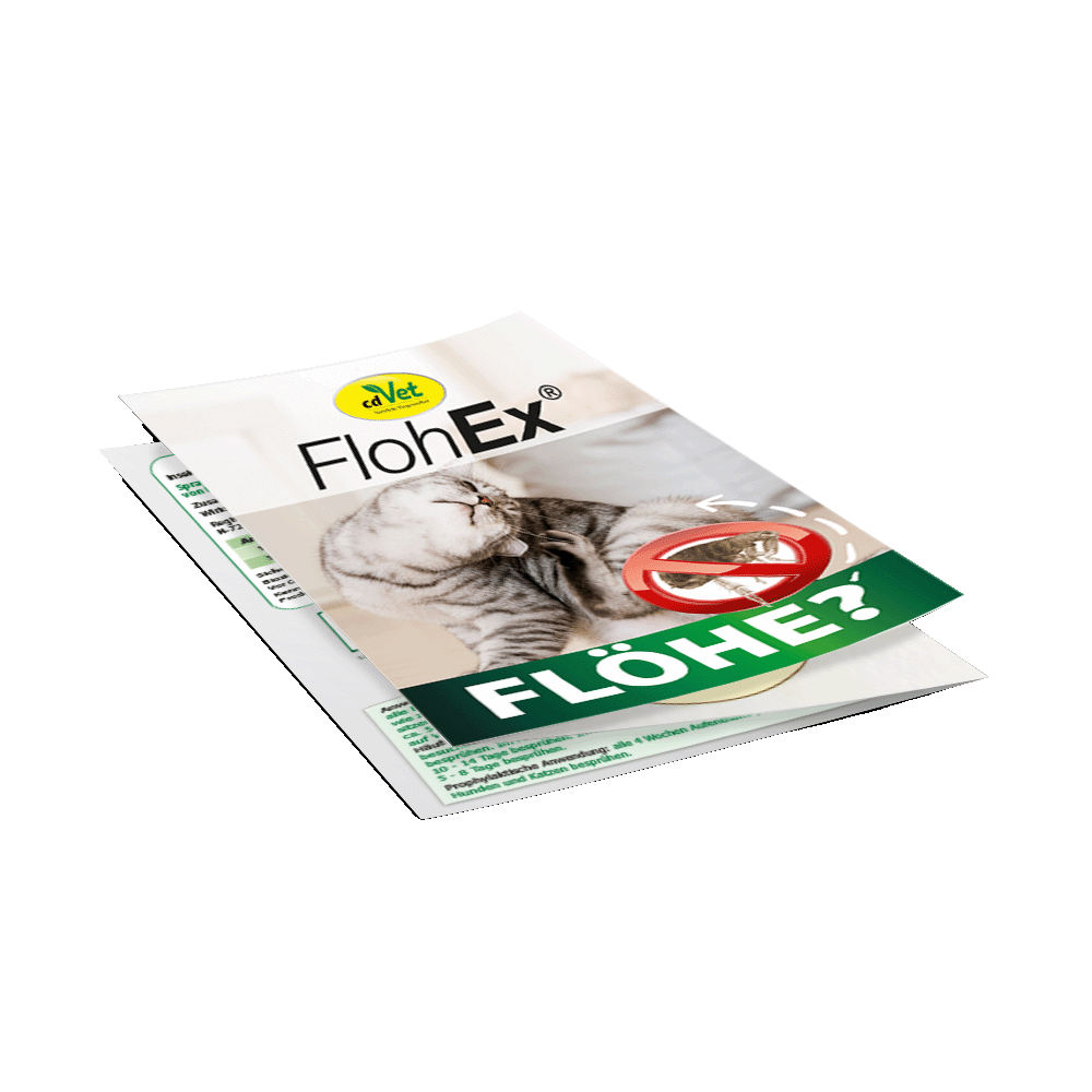 Flyer Flöhe , DIN A6 Flyer Flöhe , DIN A6