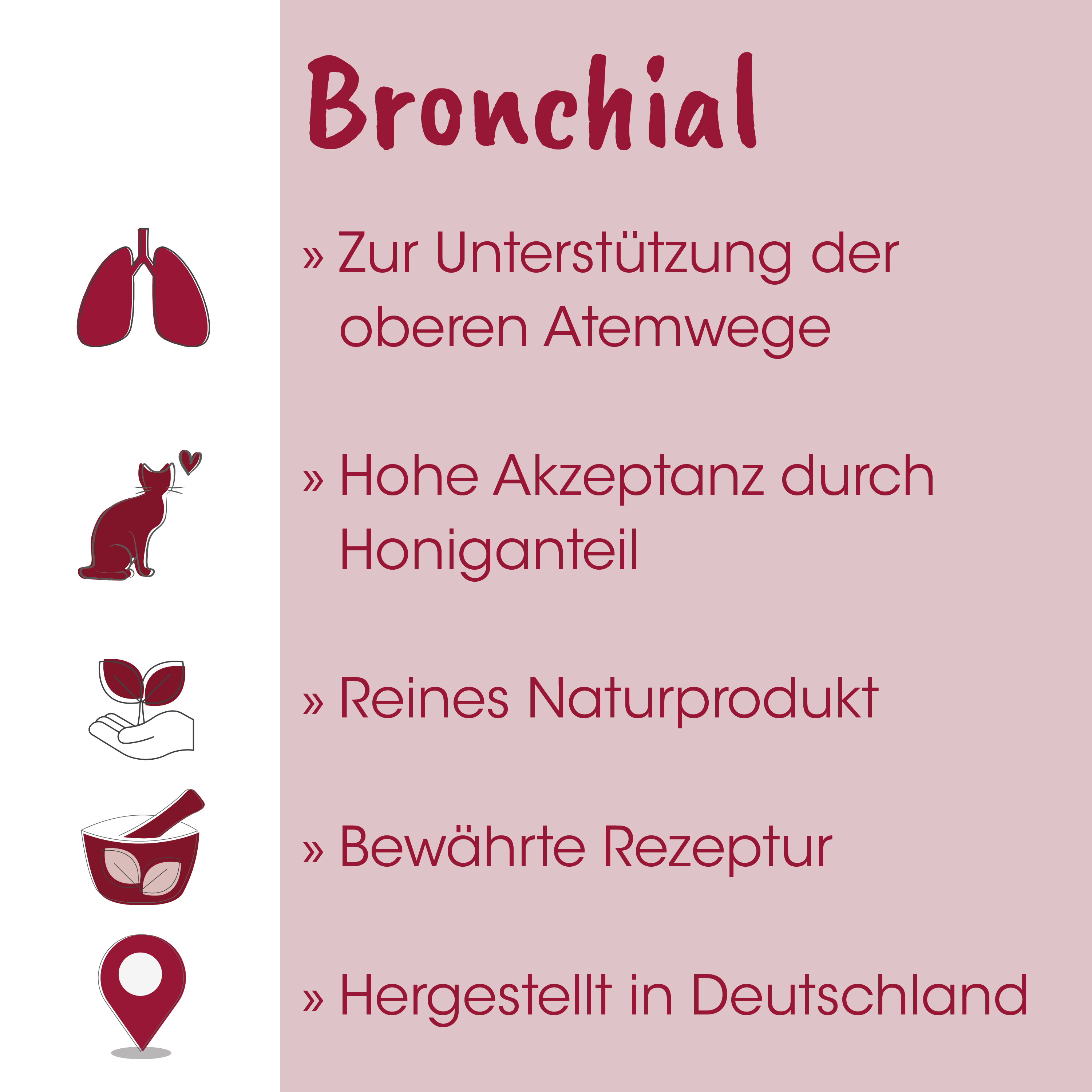 Bronchial, Lungenbild, Icons, Katzenicon, Herzsymbol