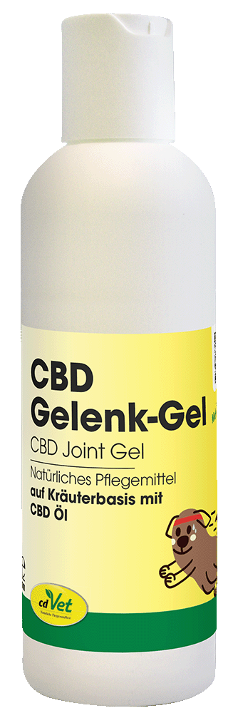 CBD Gelenk-Gel 100 ml Flasche, Lotion