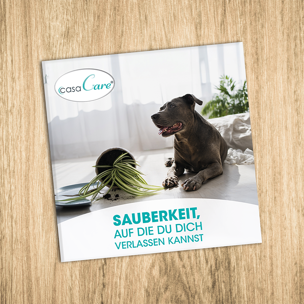 Hund, Tier, Sauberkeit, Hund drinnen, Pflanze