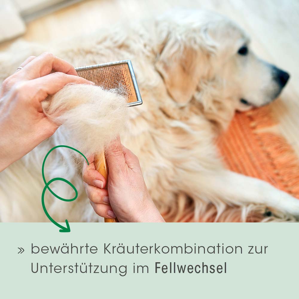 Fell & Haut Vital Hund & Katze 400 g