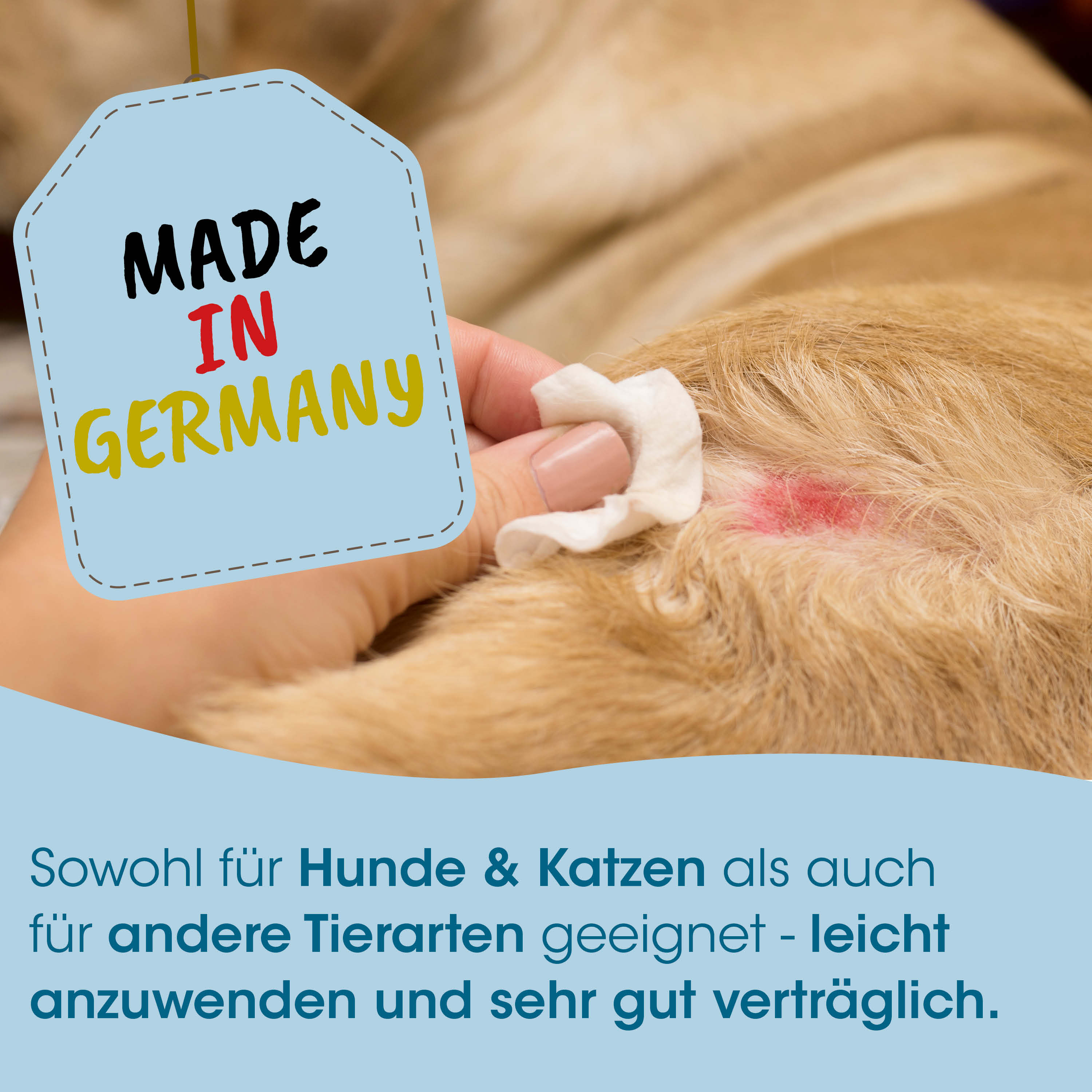 tag, Hund, roter Hautbereich, Ohr, Stelle