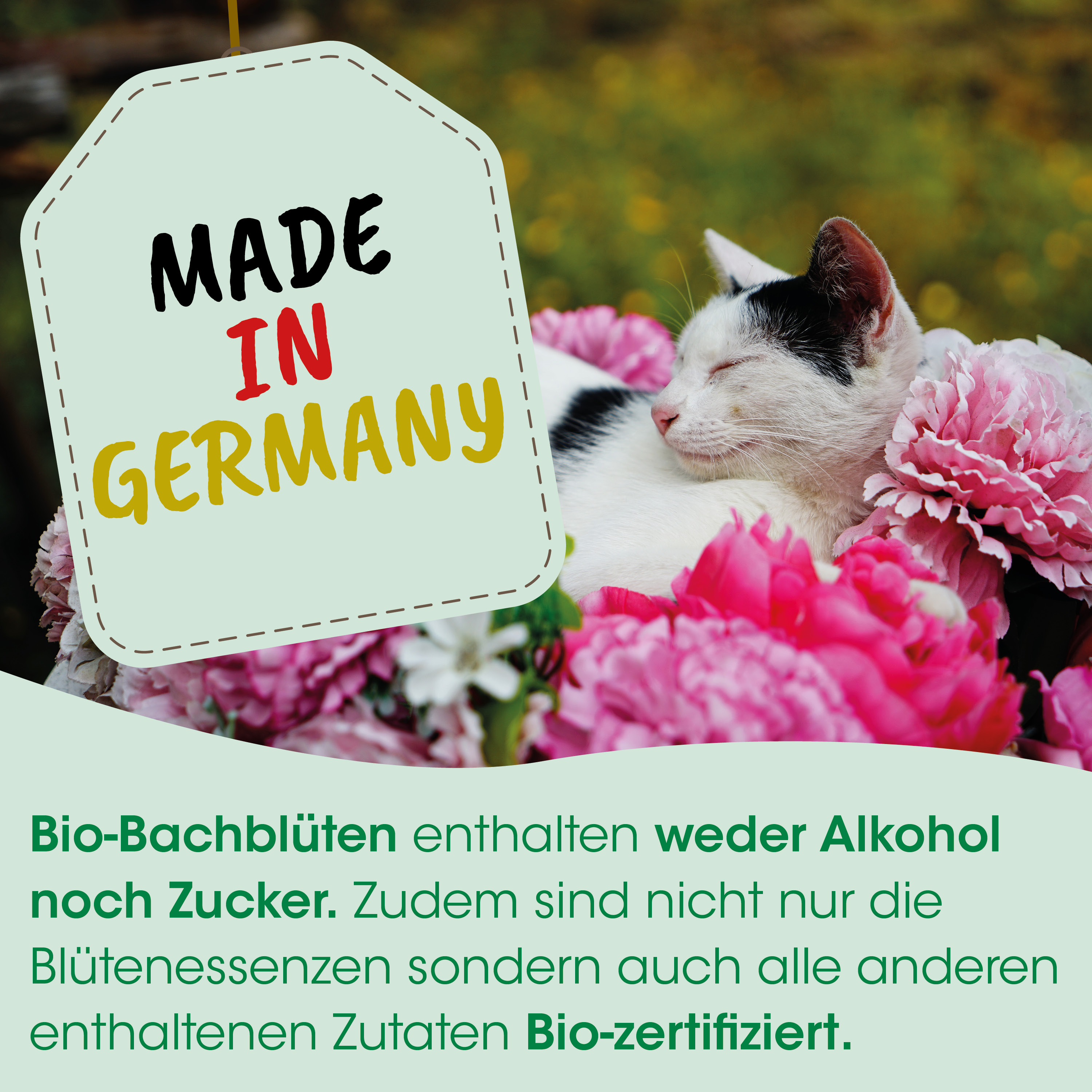 Katze, Blumen, rosa, Banner, Made in Germany
