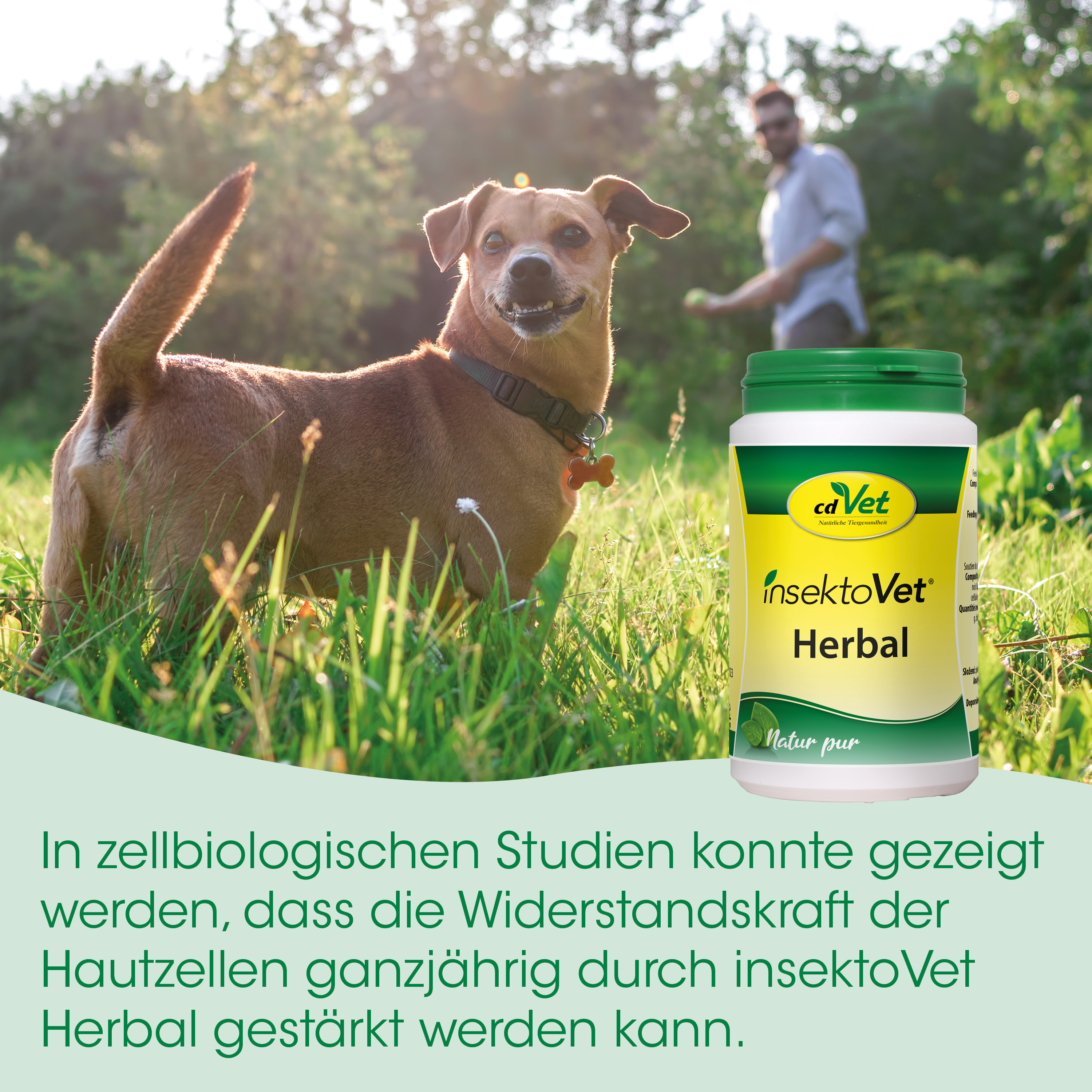 Hund, Hundegesundheit, InsektoVet, Herbal, Kraüterpulver