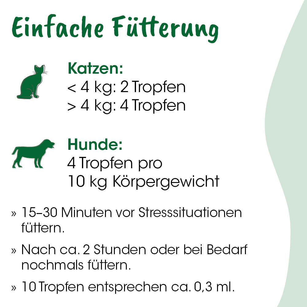 Tierfutter, Katzenfutter, Katzen, Hundefutter, Anleitung