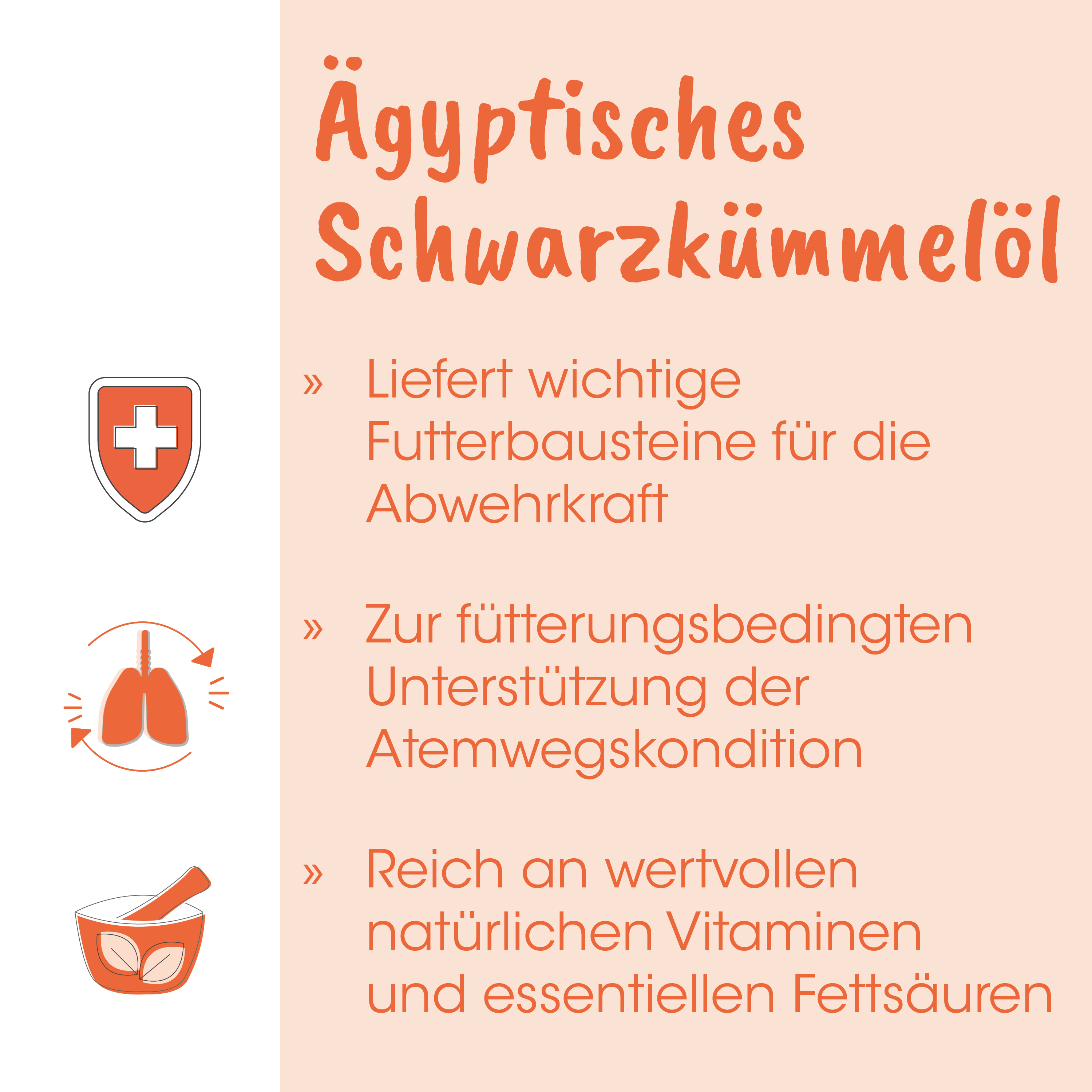 ägyptisches, Schwarzkümmelöl, Fettsäure, Abwehrkraft, Nahrungsergänzung