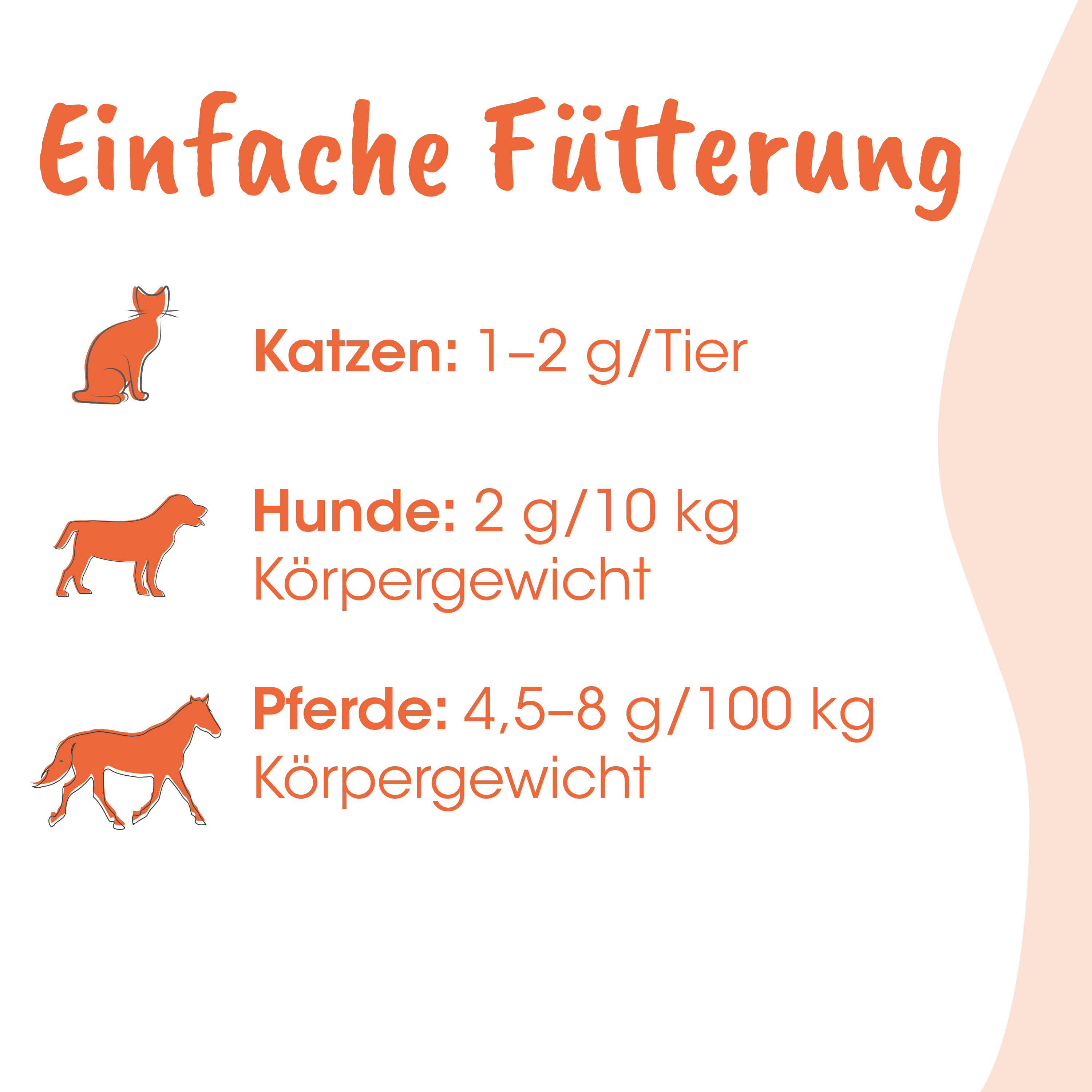 tiere, katze, hunde, pferde, fütterung