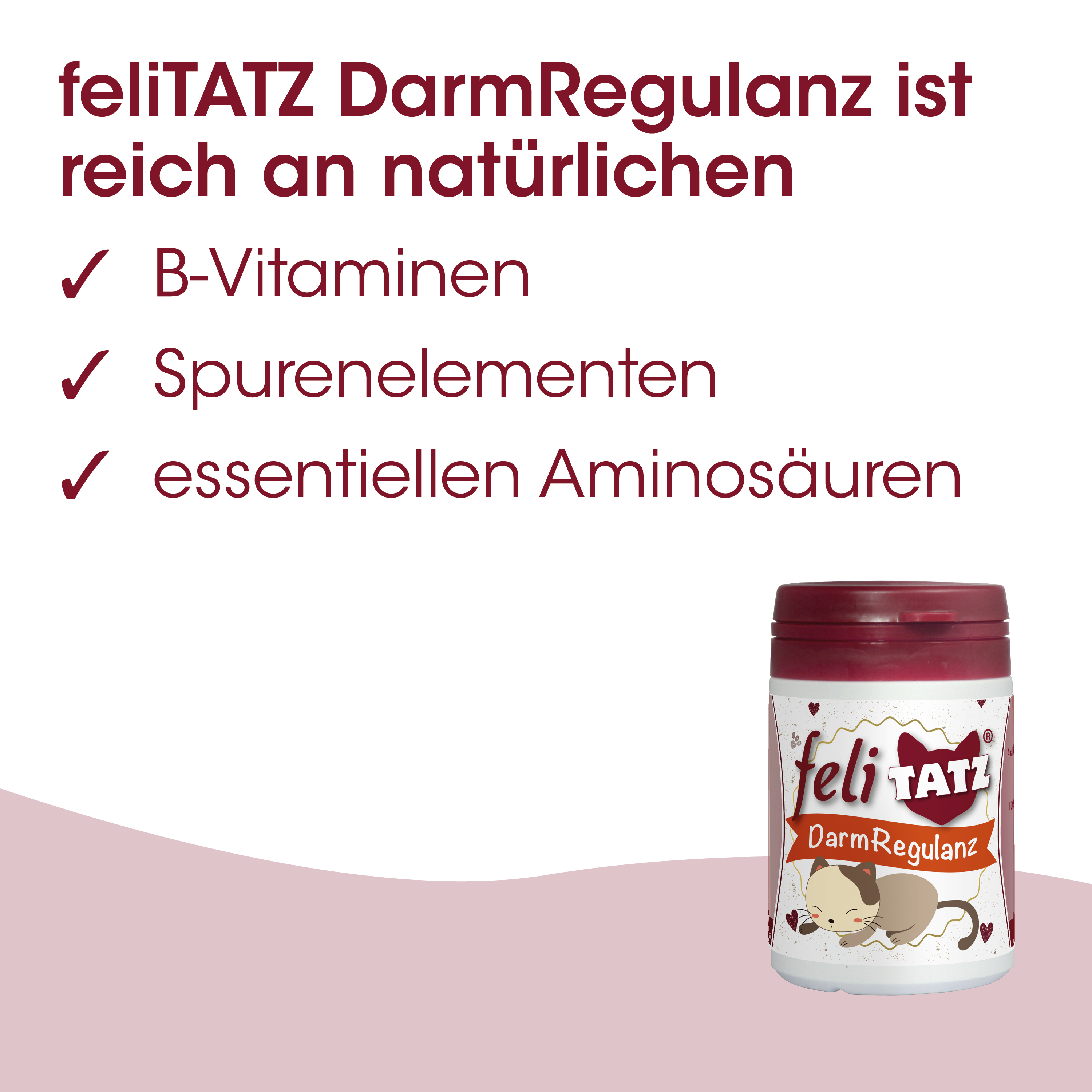 Darmregulanz, Kotenkapsel, Symbiotik, Katzensupplement, Lachsfarbenes Design