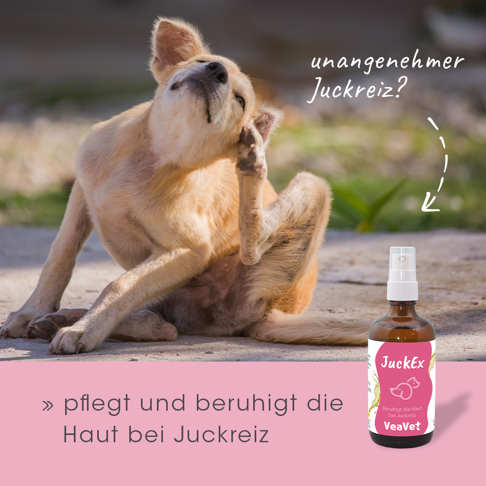 VeaVet JuckEx 100 ml