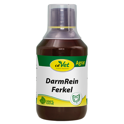 DarmRein Ferkel