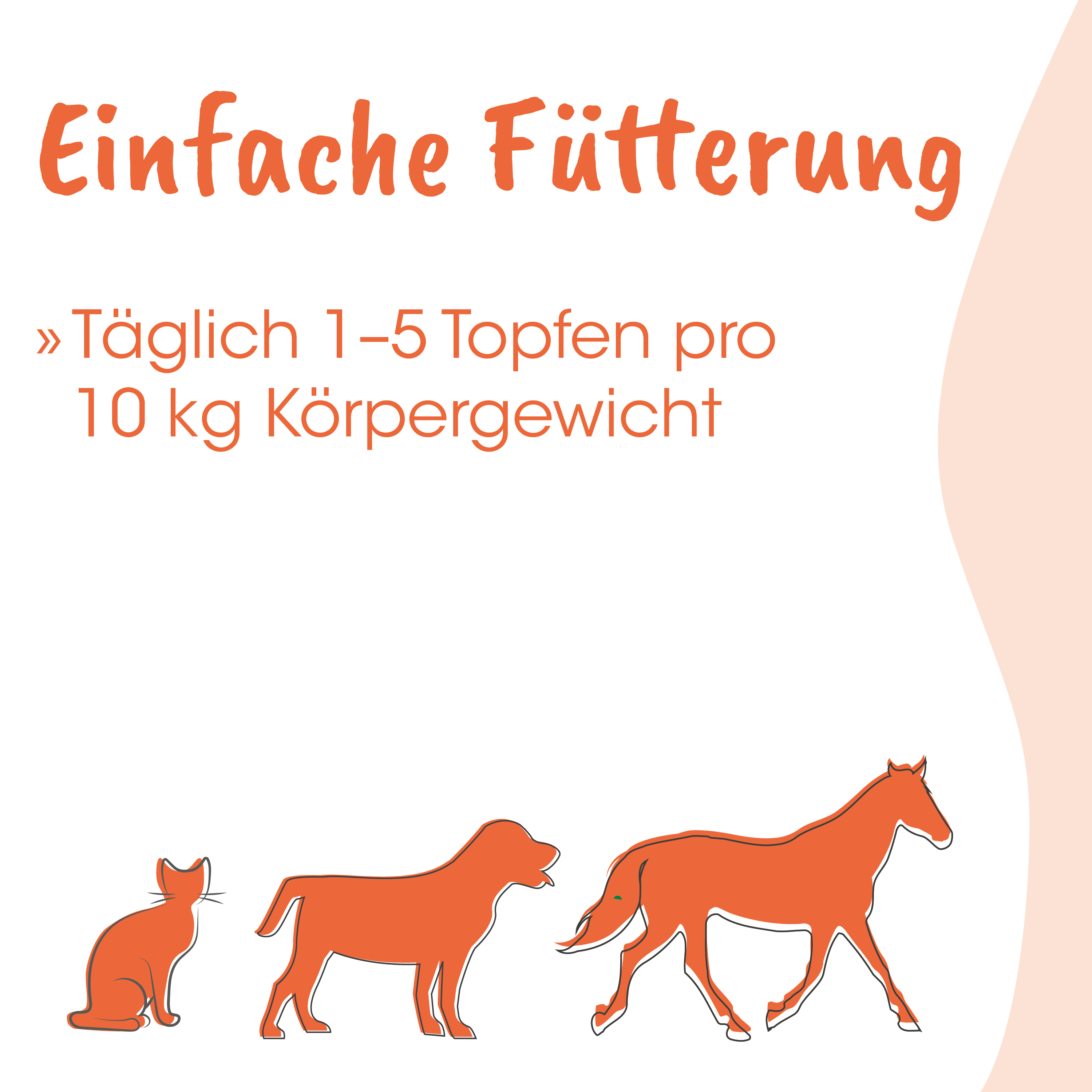 tierfutter, futter, katze, pferd, hund