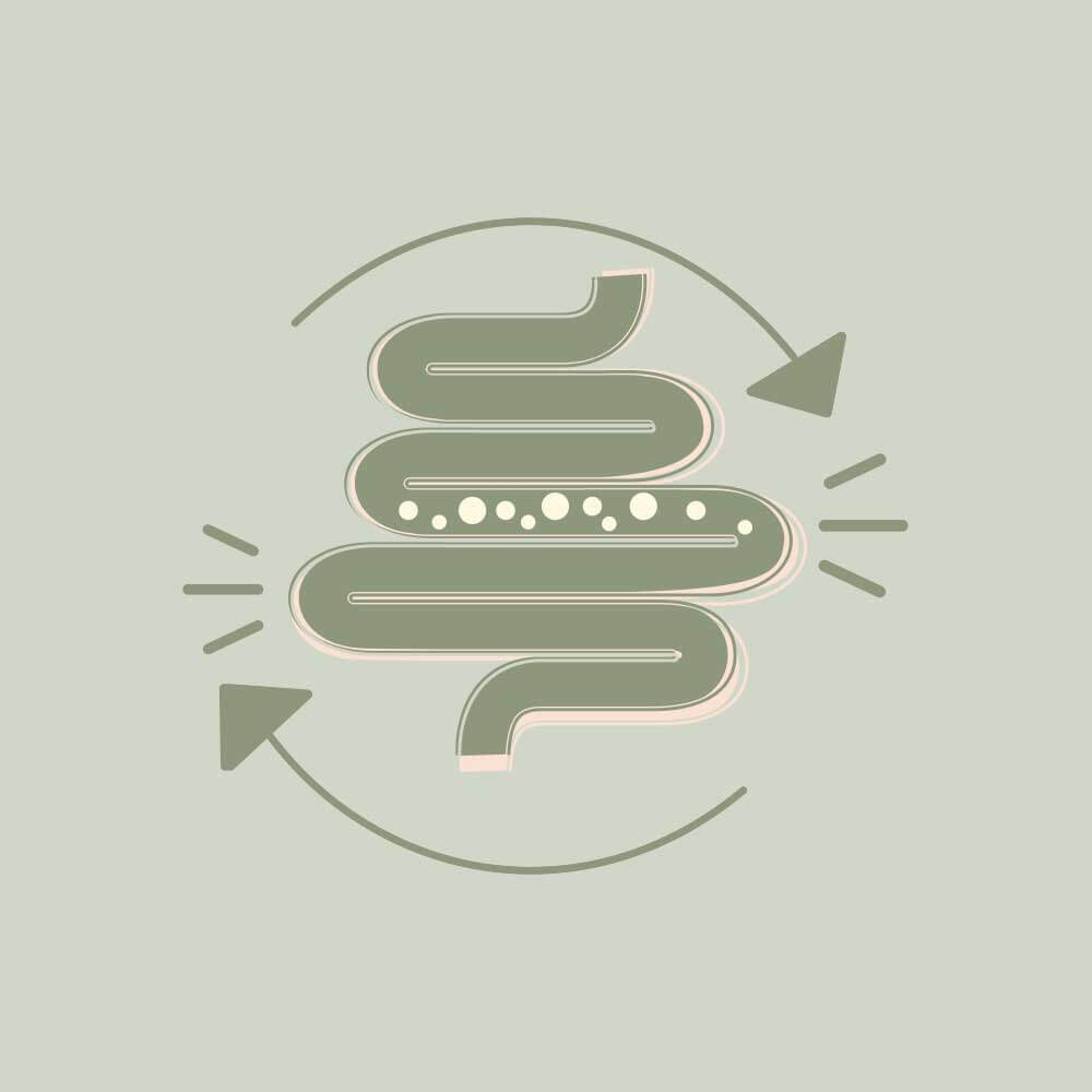 Darmsanierung_kachel Darmsanierung_kachel