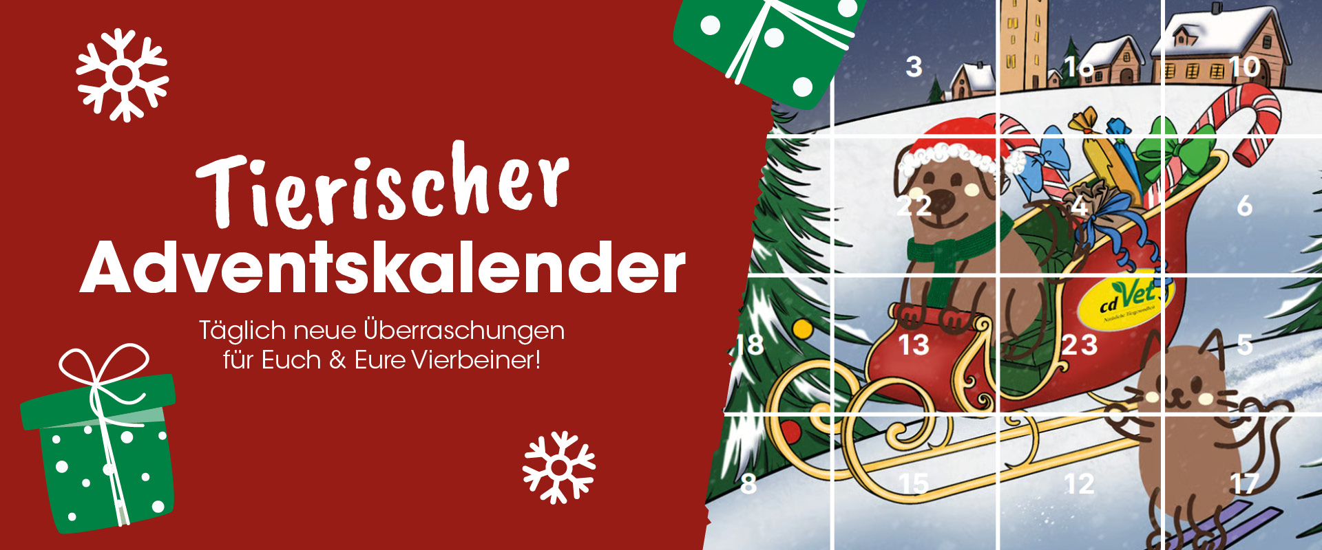 Person, Gesicht, Kopf