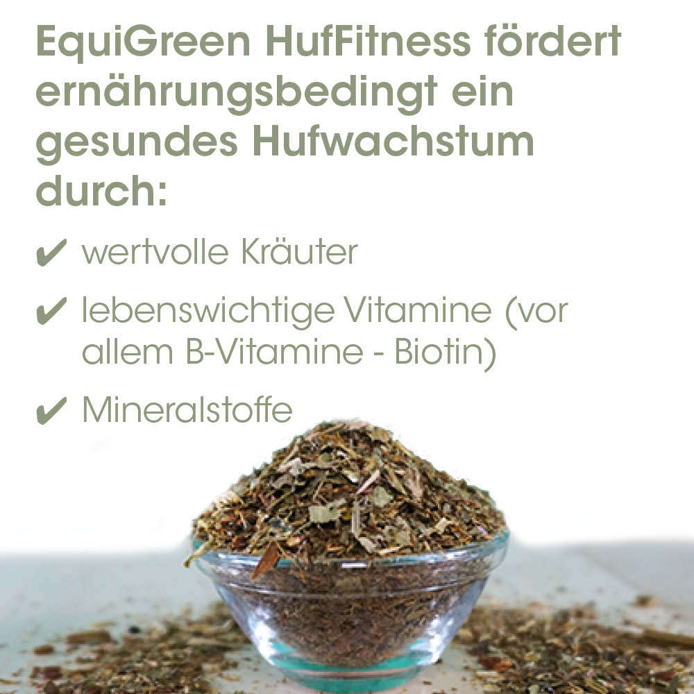 Huf-Nahrung, Ergänzungsfuttermittel, Mineralstoffe, Vitamin B-Komplex, Körner-Behälter, tasse, getreide, pflanzenmix, kräutertee, mineralstoffe