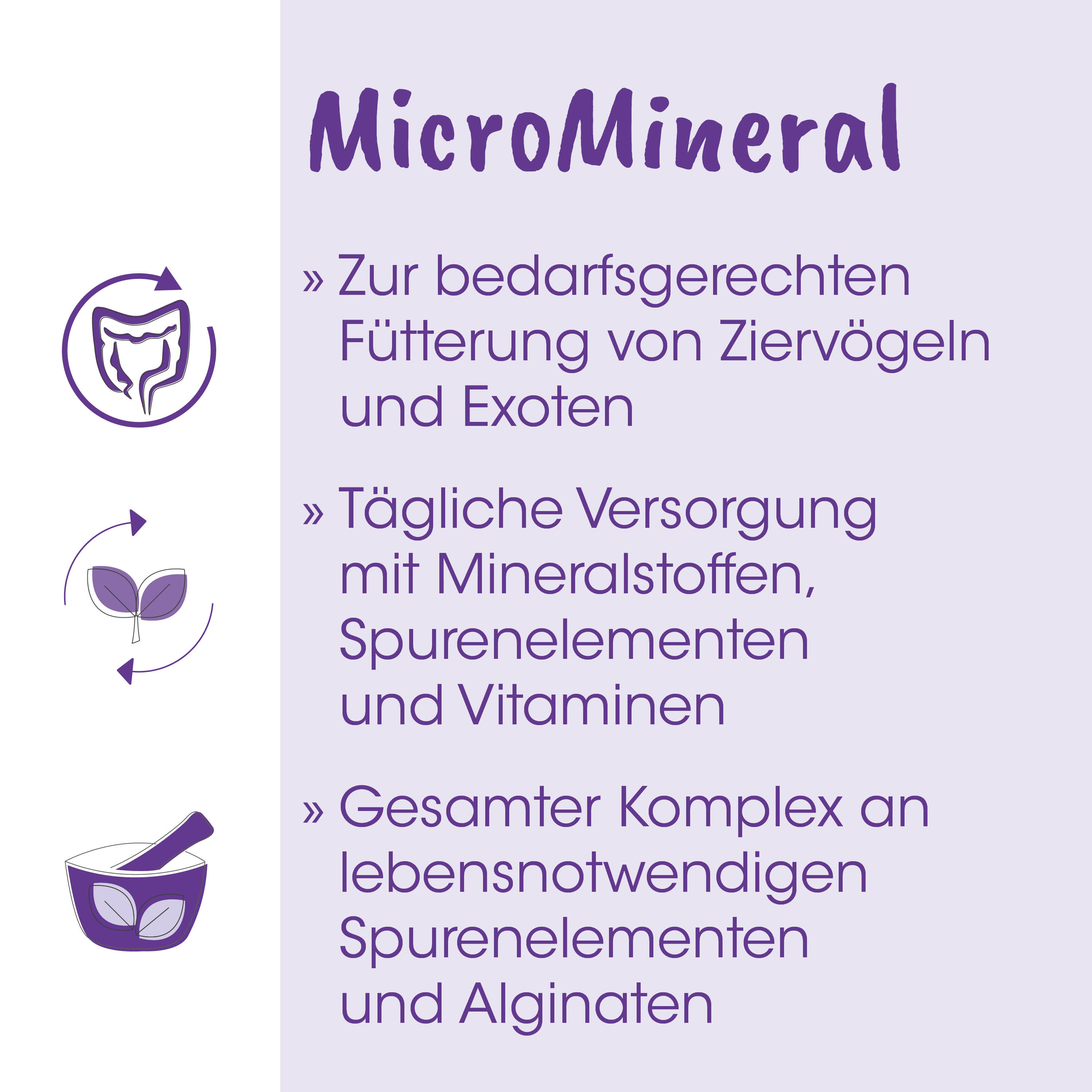mineral, diätetische zulage, tierfutter, haustier, kapsel