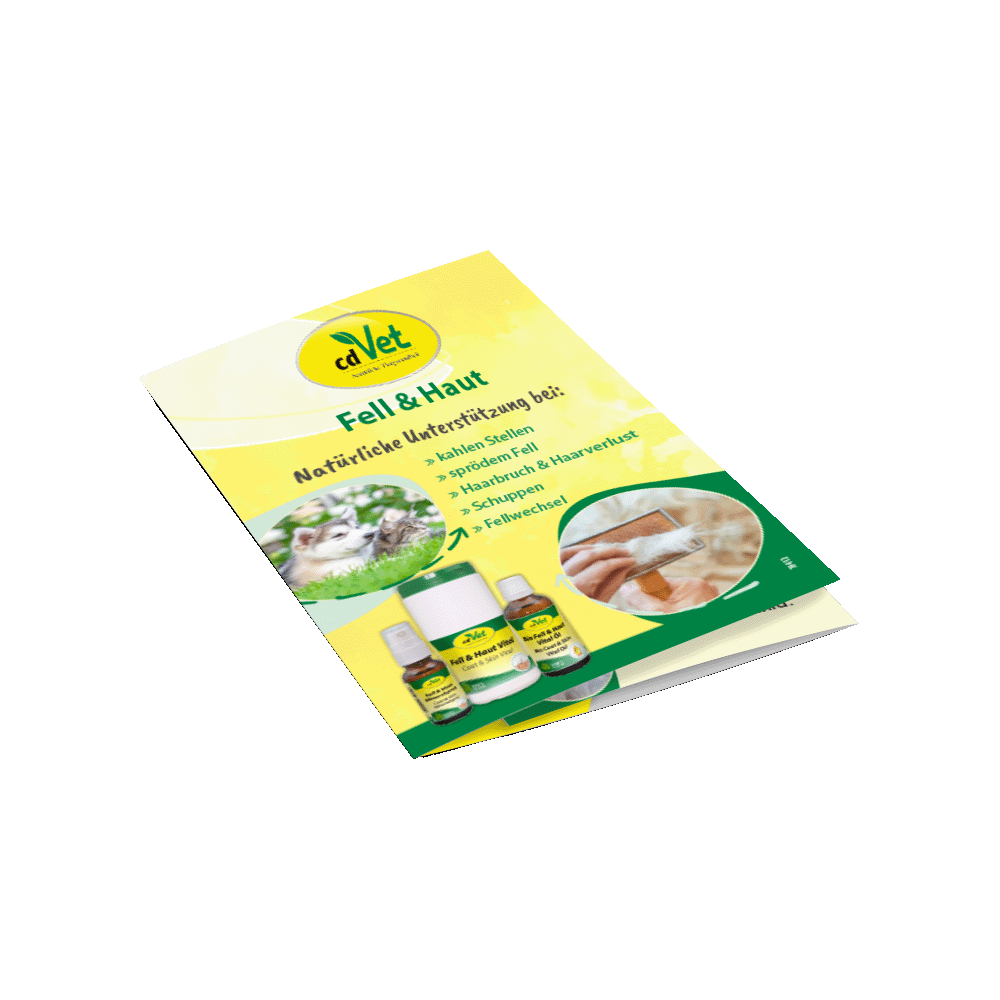 Flyer Fell und Haut A6 Flyer Fell und Haut A6