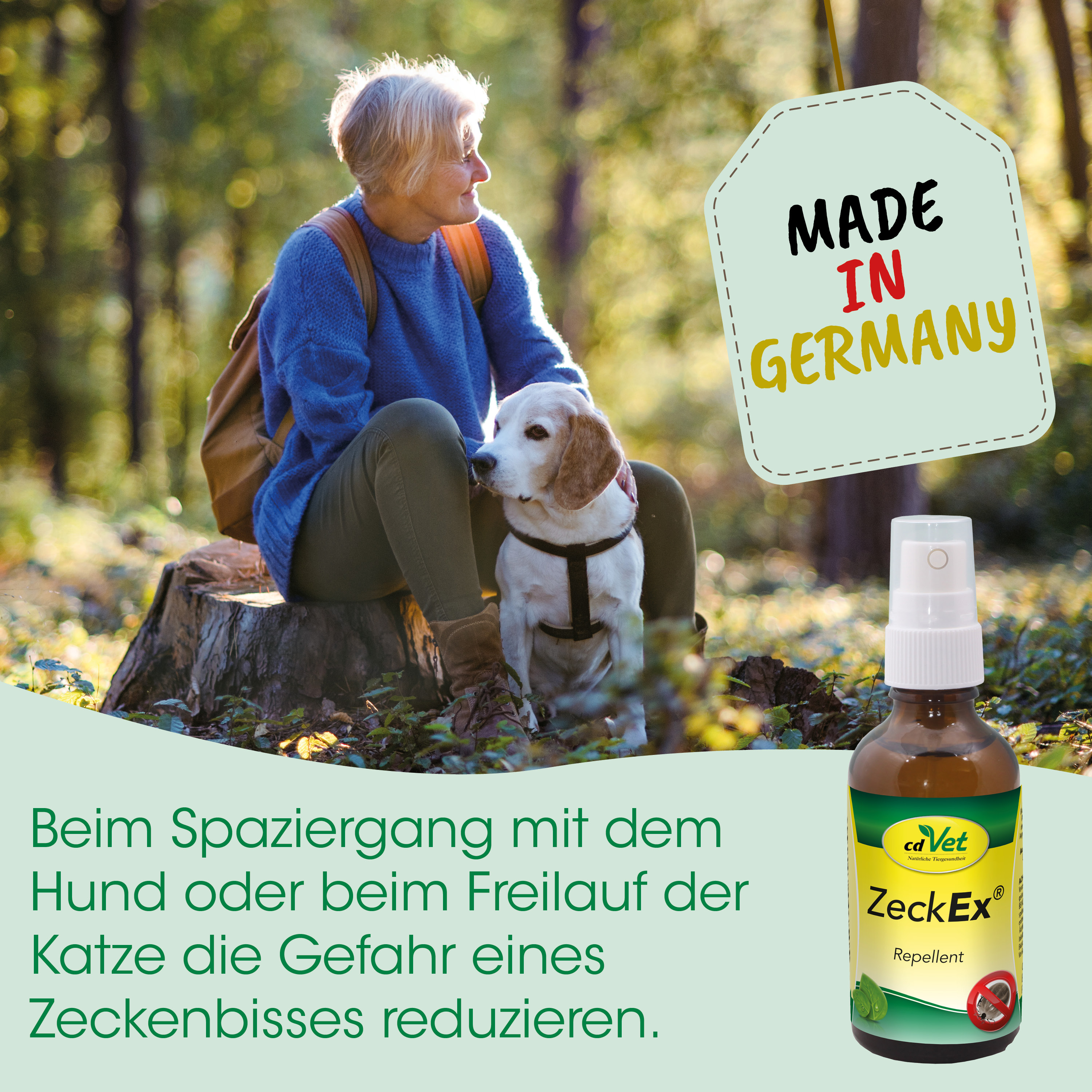 hund, beagle, spray, repellent, outdoors
