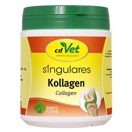 Singulares Kollagen