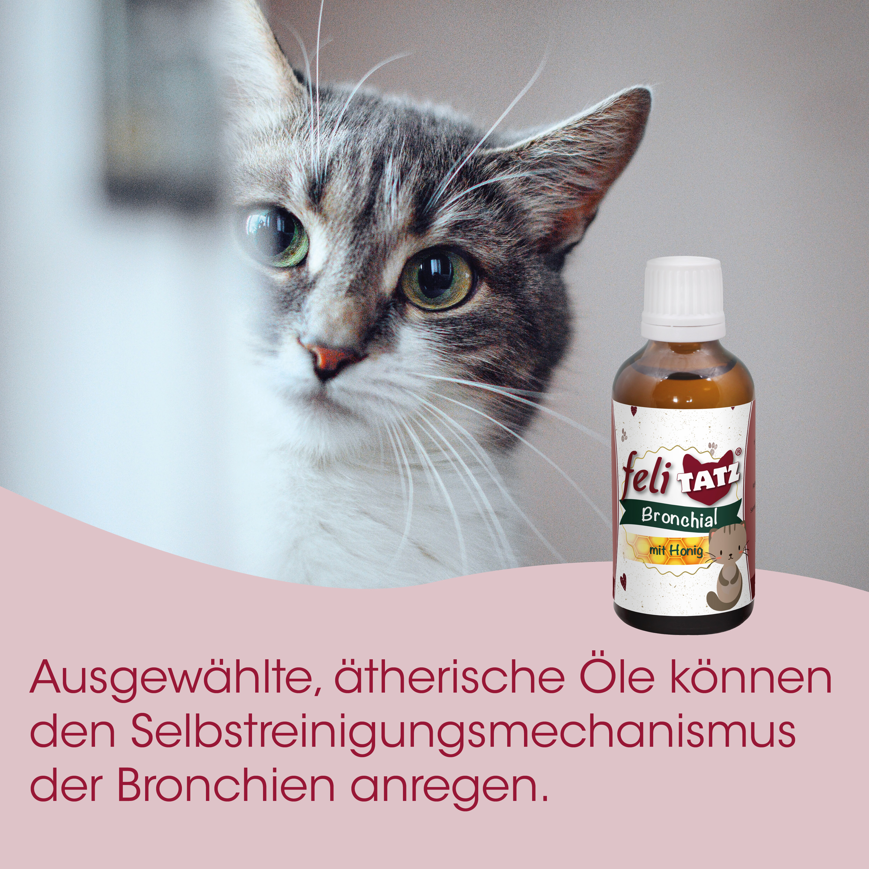 katze, tier, medizinische flasche, bronchialöl, honig geschmack