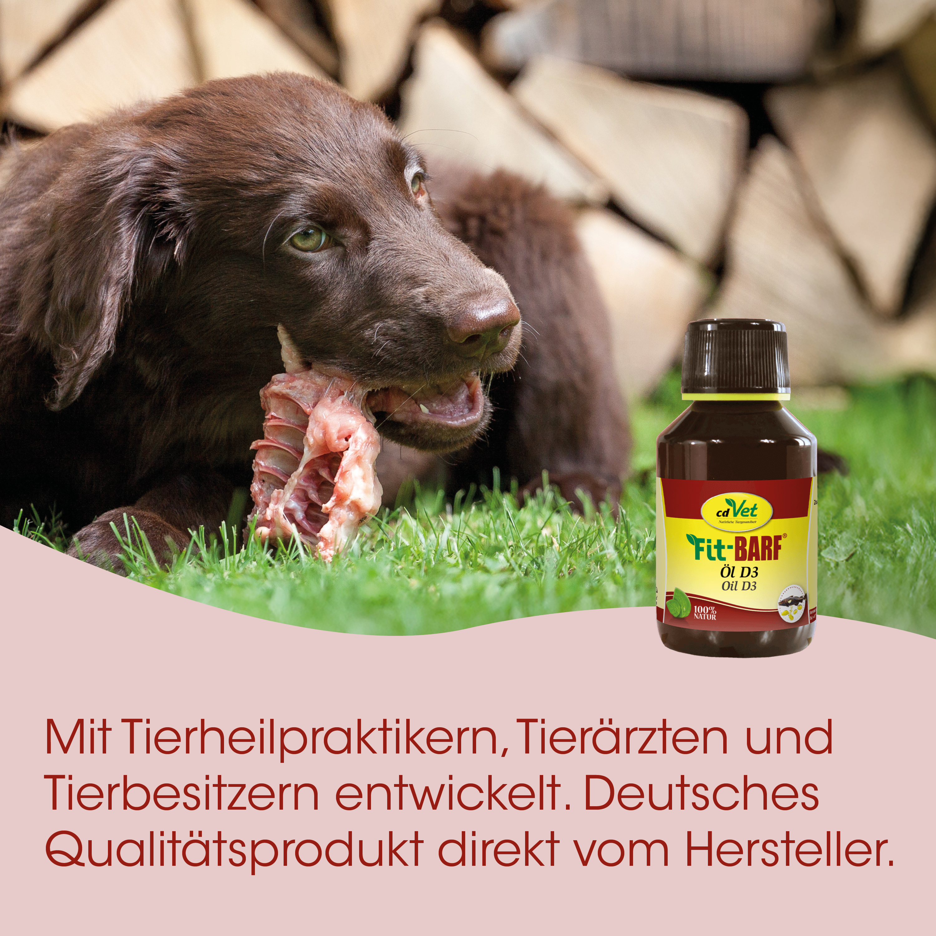 Hund, Futter, Fleischknochen, Öl D3, Tierarztpraxis