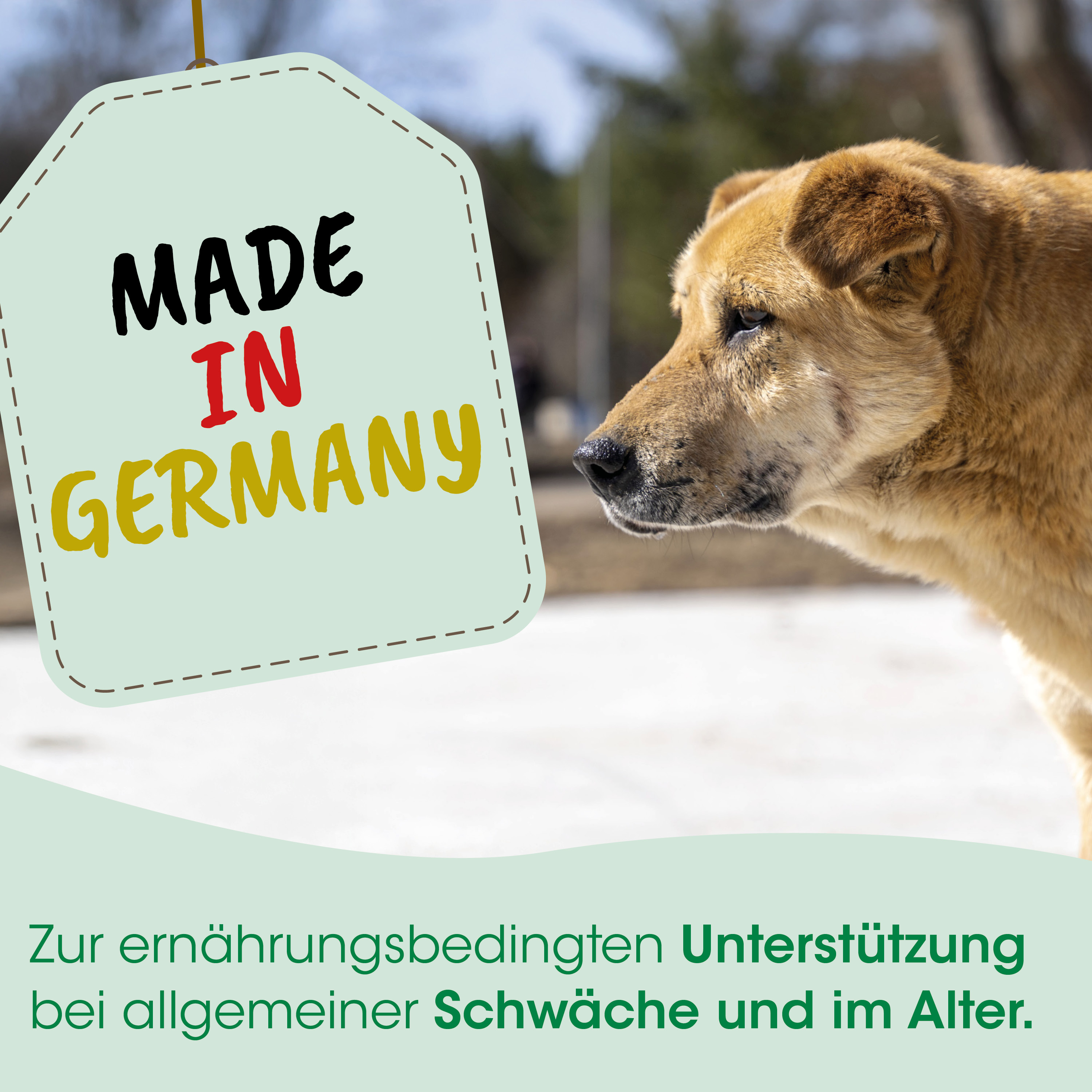 hund, canin, tier, braun, Made in Germany tag
