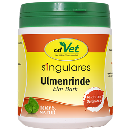 Singulares Ulmenrinde (europäisch)