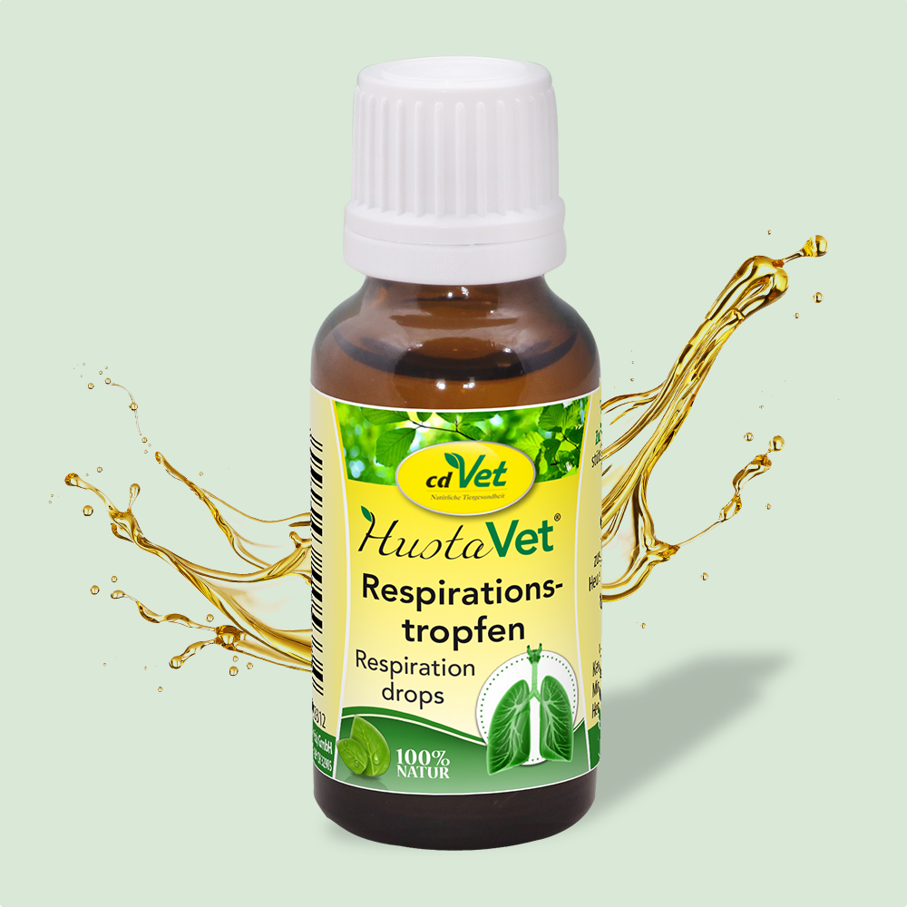 HustaVet Respirationstropfen HustaVet Respirationstropfen