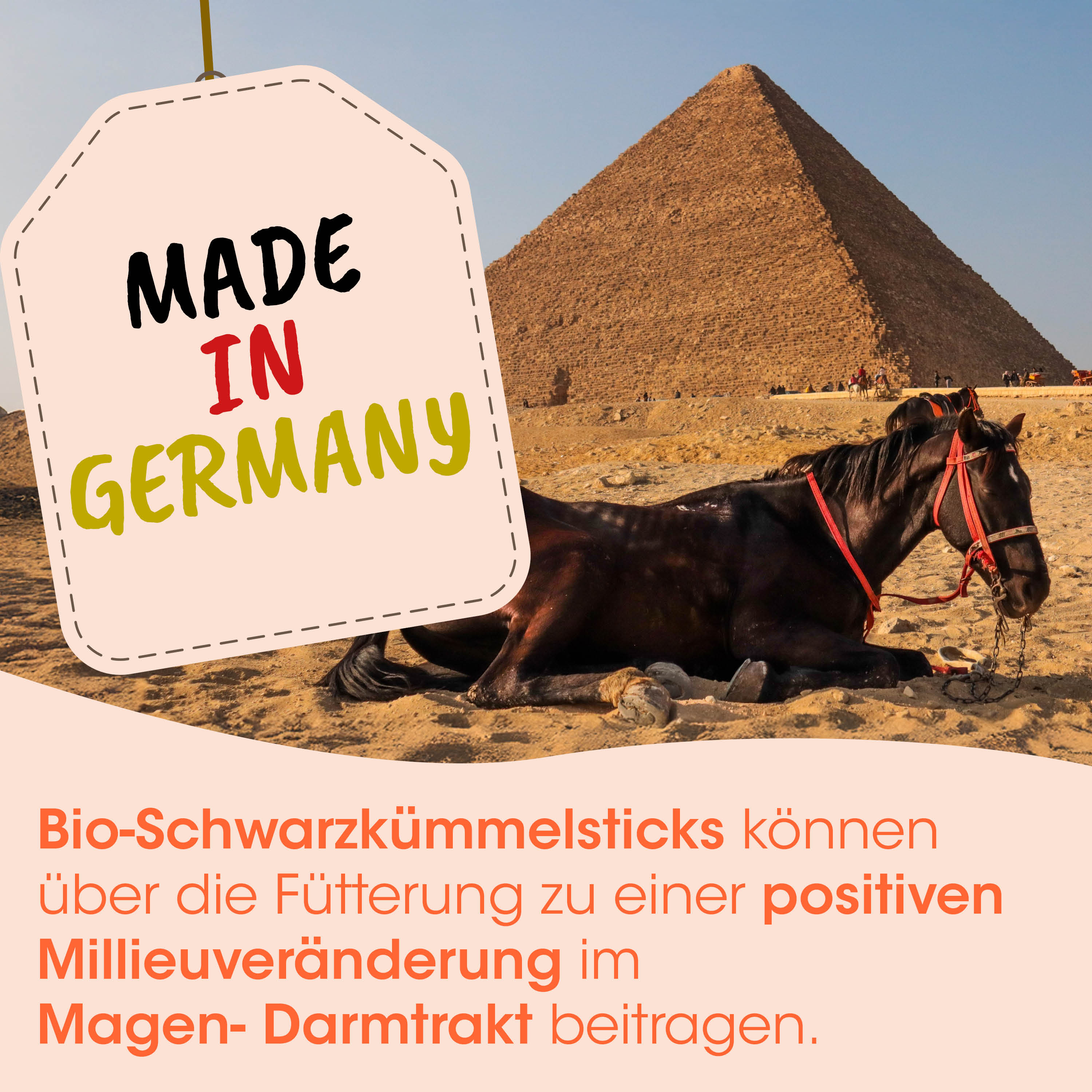 Pyramide, Kamel, Sattel, Wüste, Sand