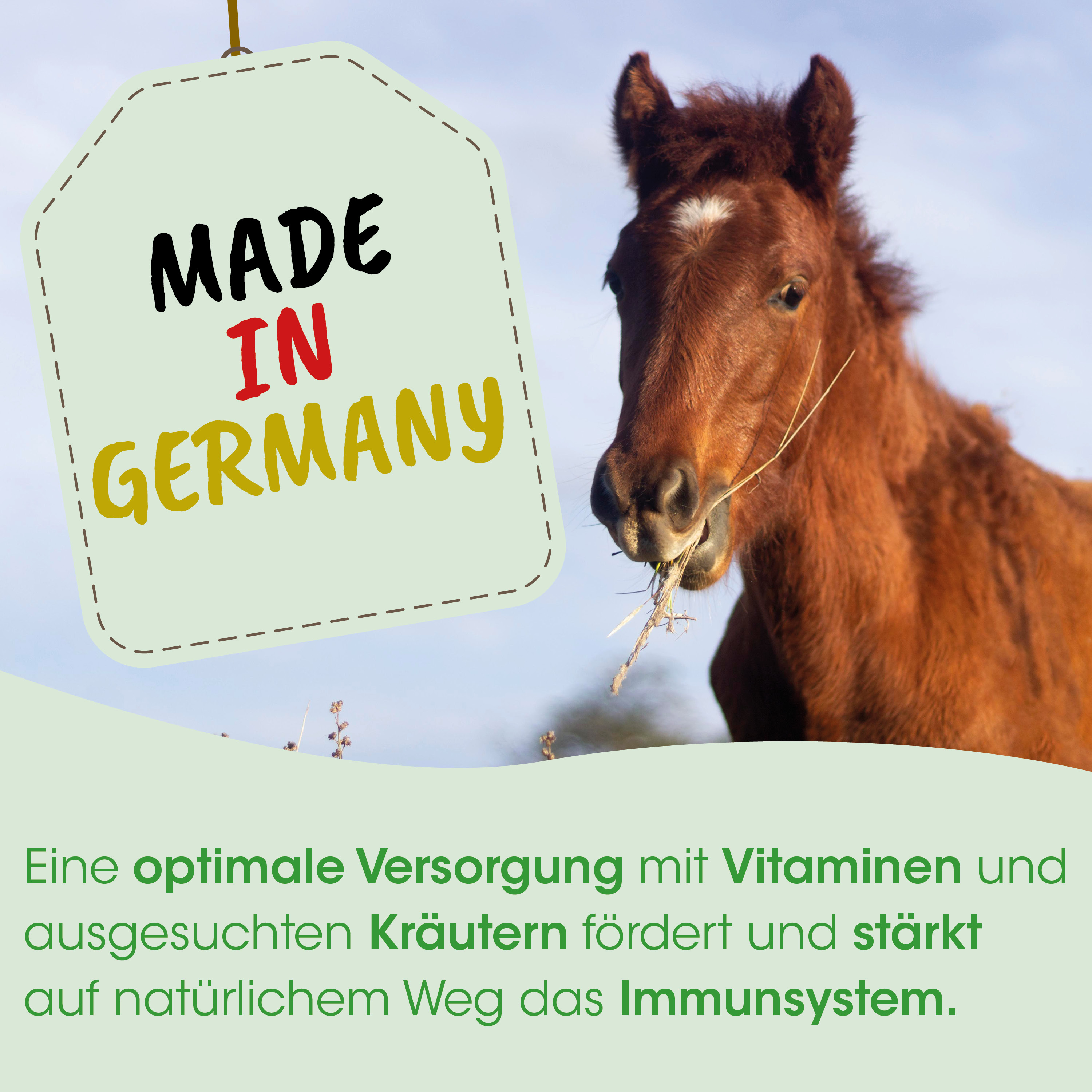 Pferd, Fell, Haar, Huttag, Made in Germany