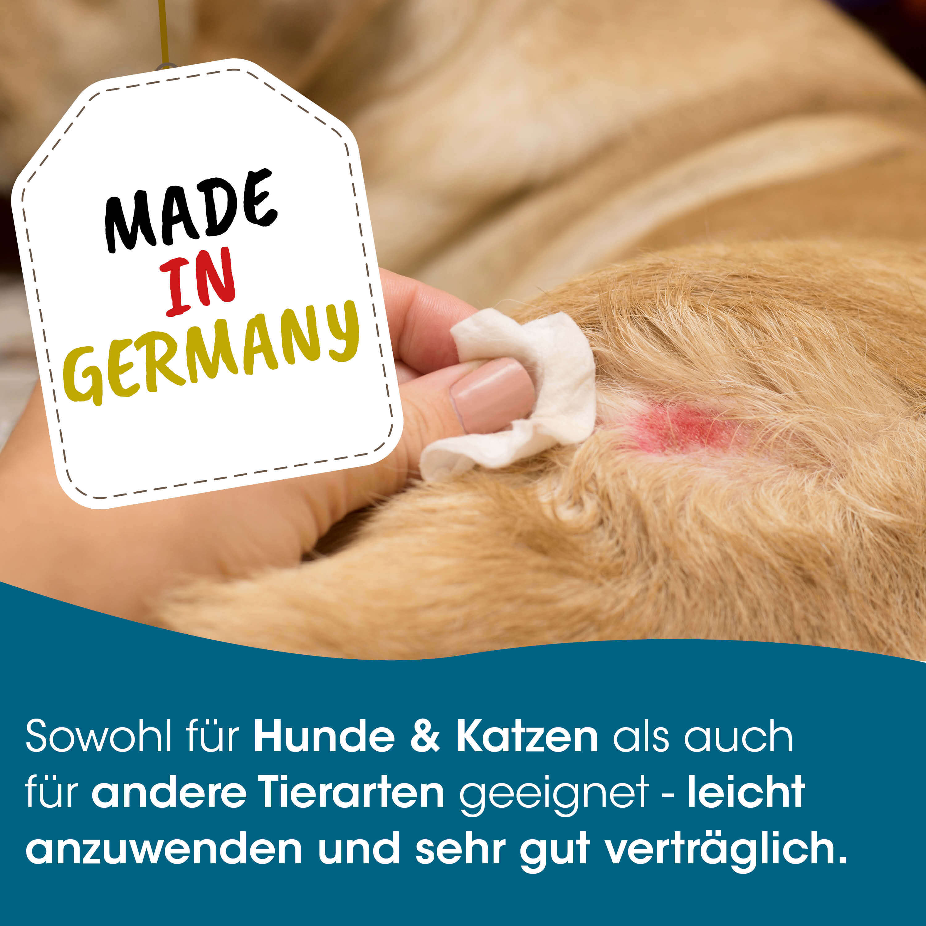 brand_tag_labeled, dog_skin_irritation, ointment_moc, red_skin, hairs_on_animal