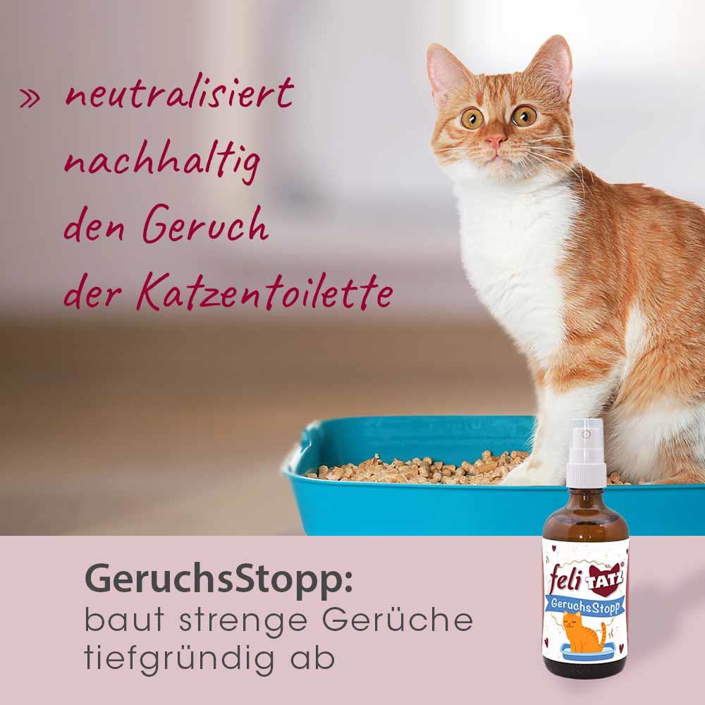 Katze, Katzenfutter, Katzenstreu, Geruchsstopp, Spray