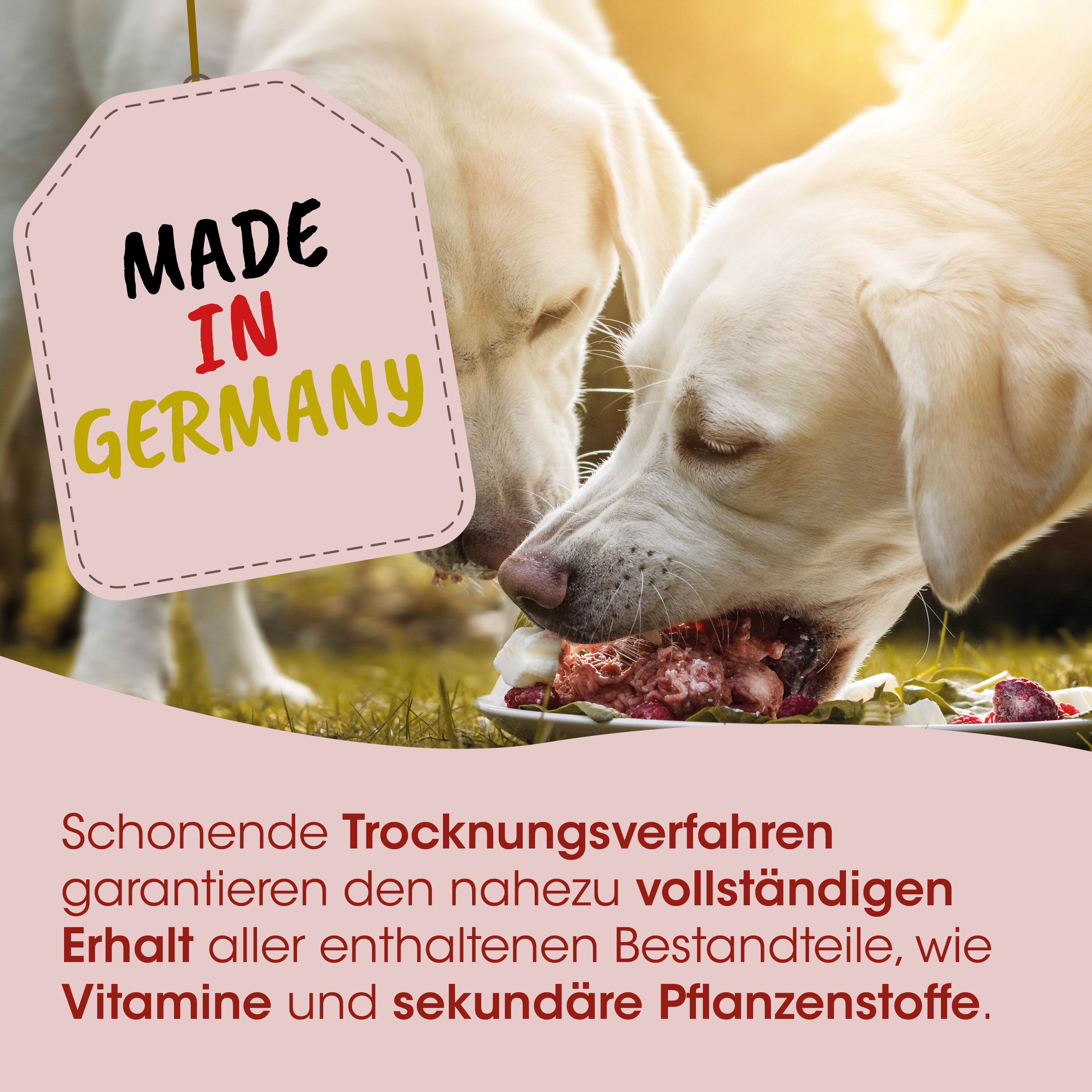 Hundefutter, Katzenfutter, Trockennahrung, Hundeessen, Fleischstücke