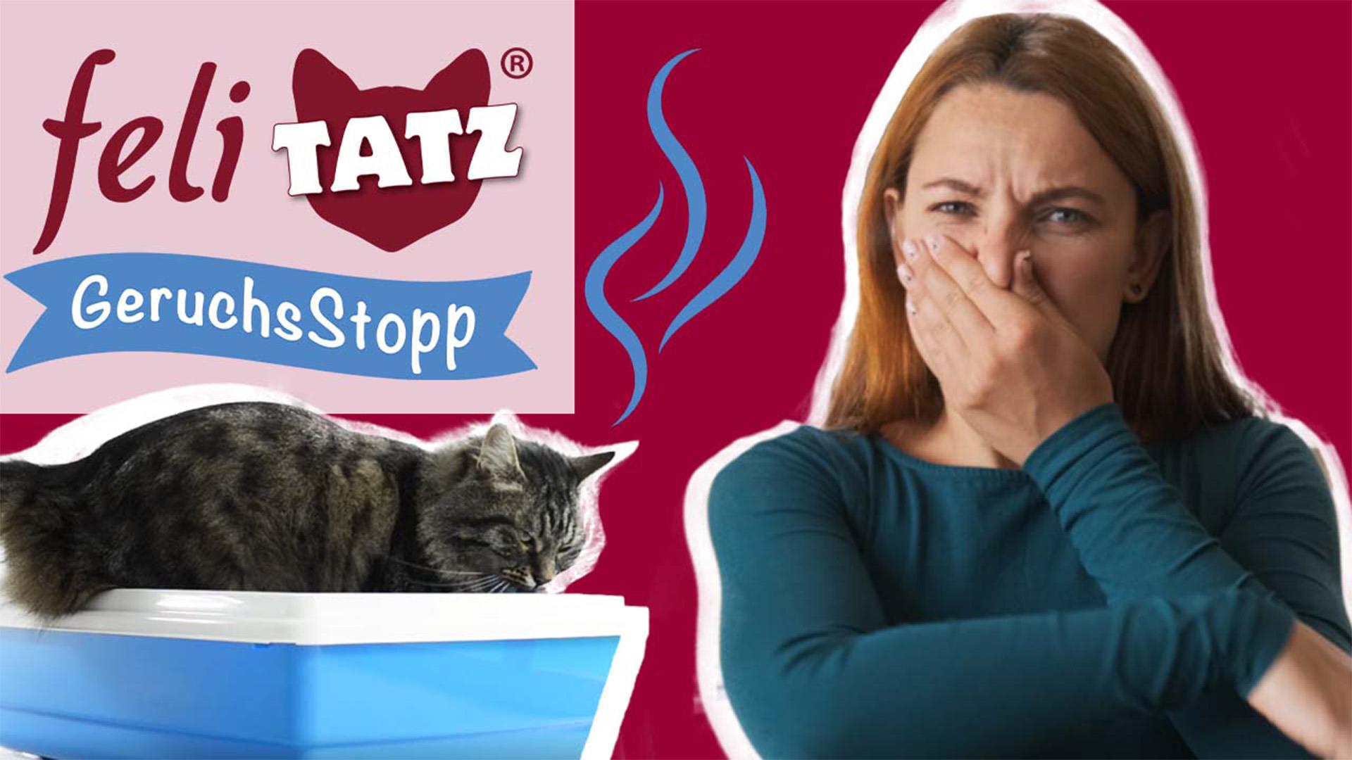 feliTATZ GeruchsStopp 5 L (Nachfüllkanister)