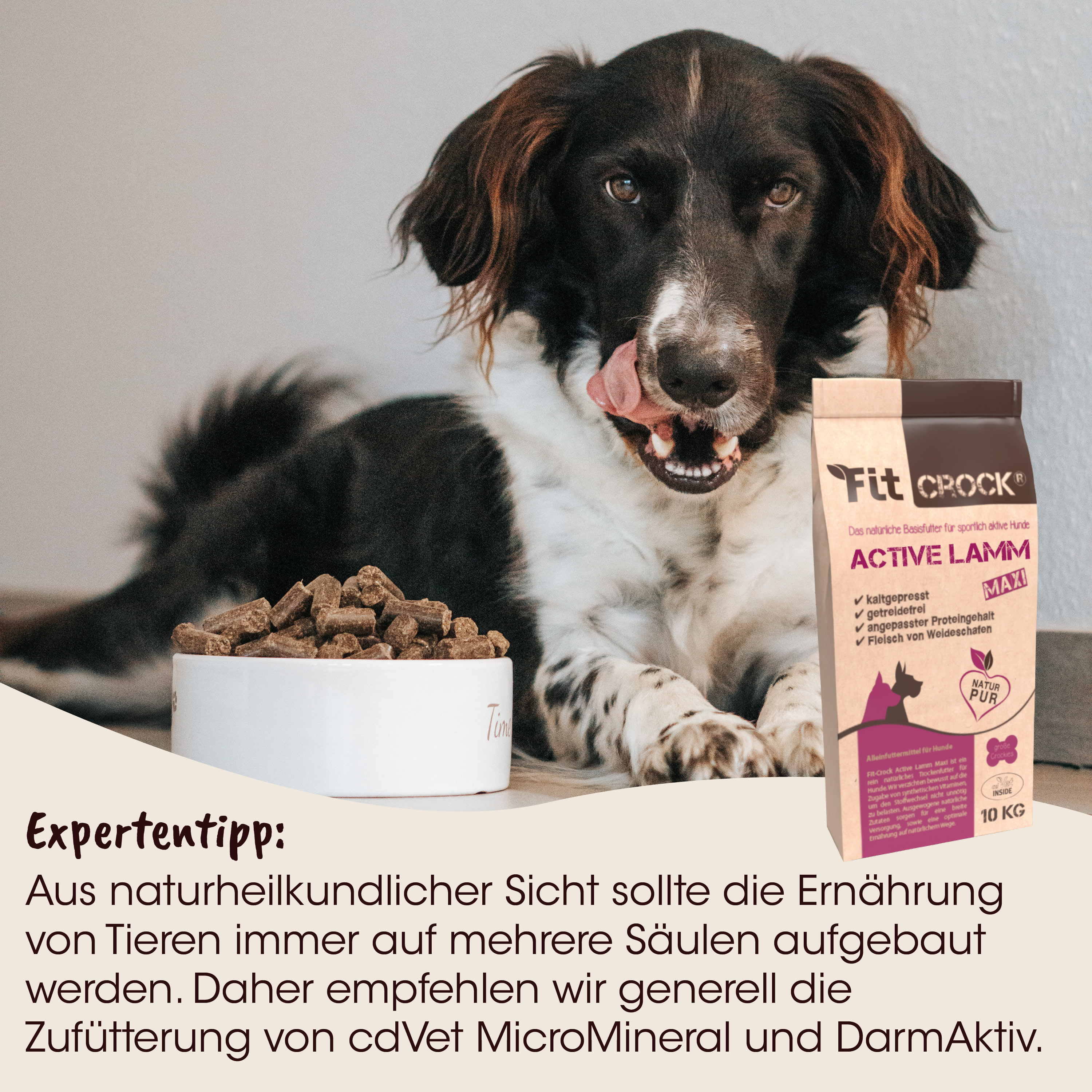 Hund, Hundefutter, Trockenfutter, Futterpackung, Napf