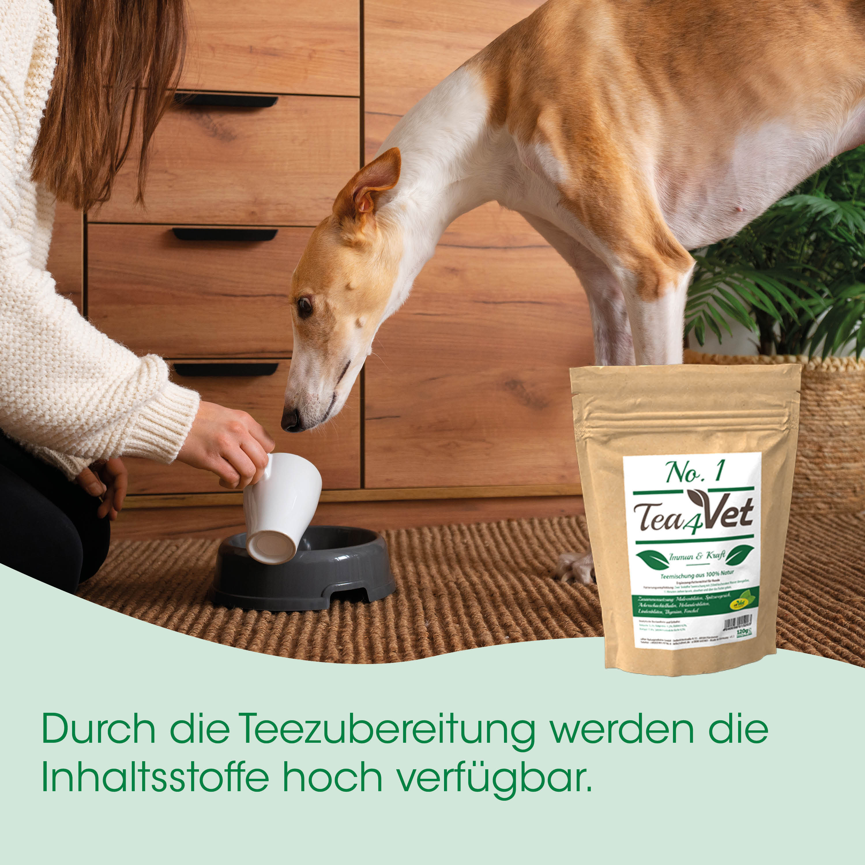 Hund, Hunde-Nahrung, Tee, Tierprodukt, Schüssel