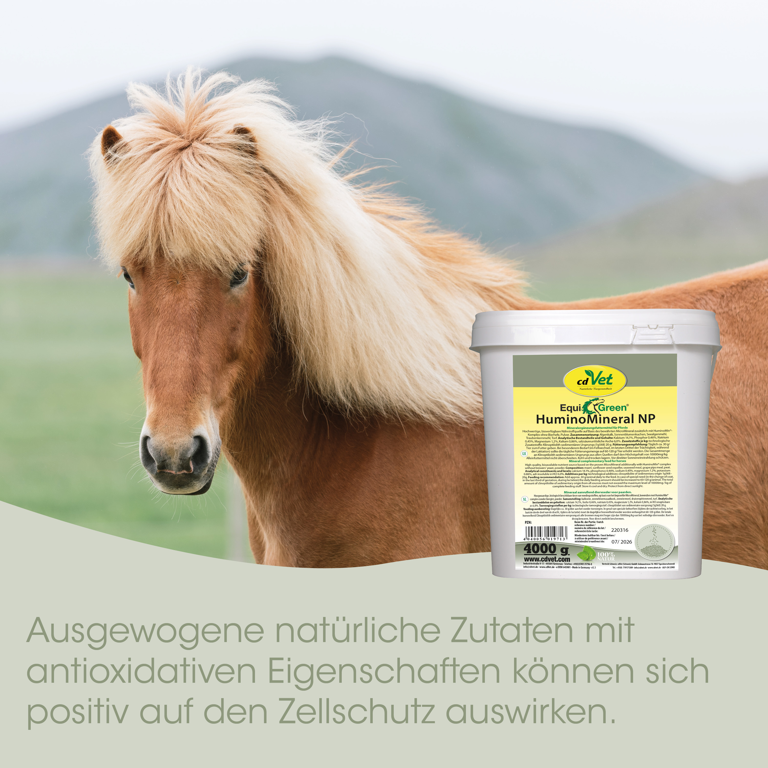Pferd, Halter, Trockenfutter, Eimer, CPG-Produkt