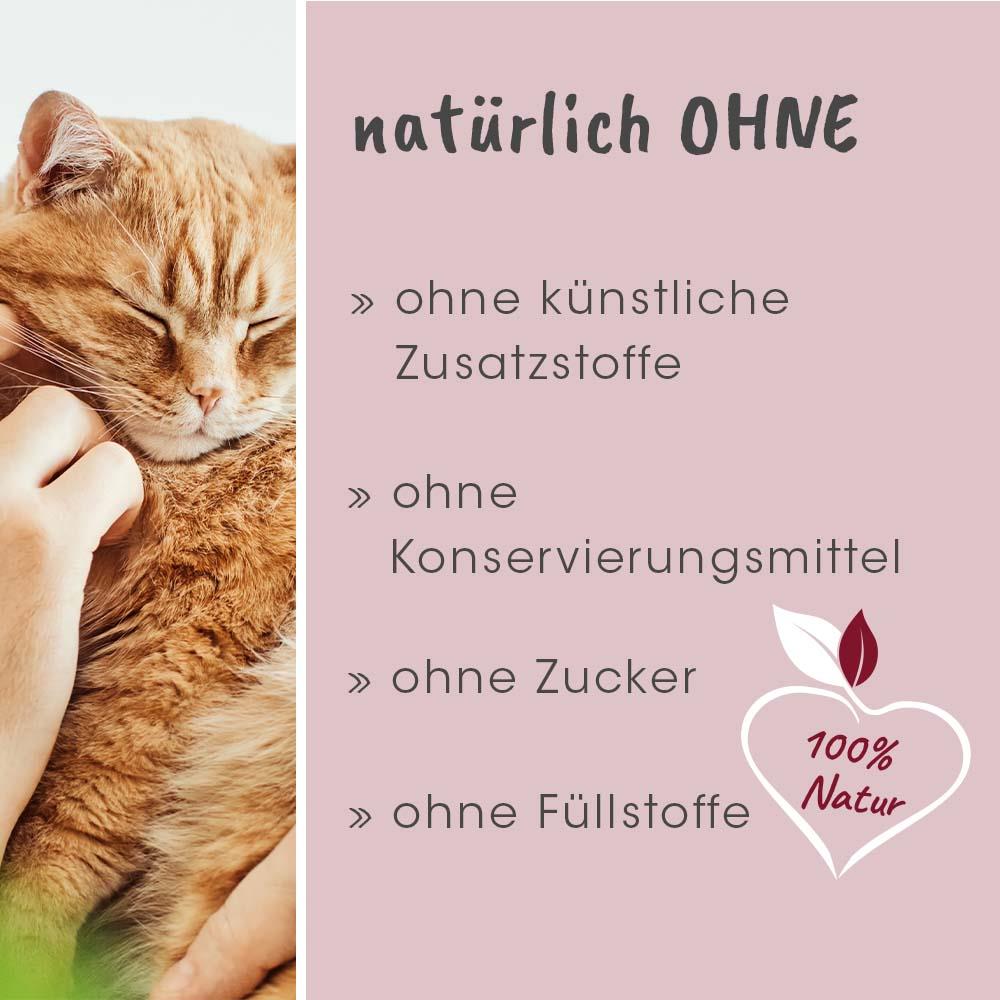 feliTATZ DarmRegulanz 50 g