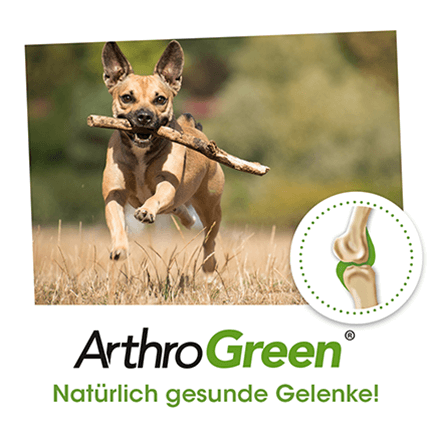 Shopbild ArthroGreen Classic 345 g