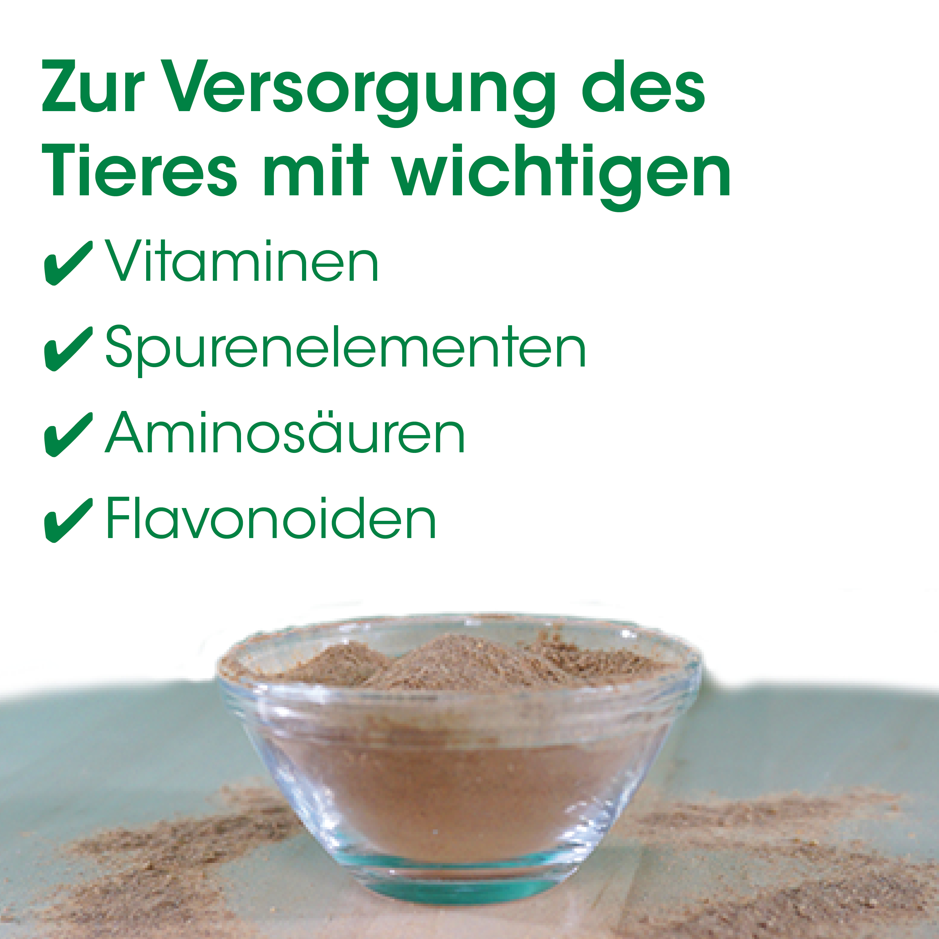 Kakao Pulver, Kakaopulver, Kakaostück, Kakaogehalt, Gewürz