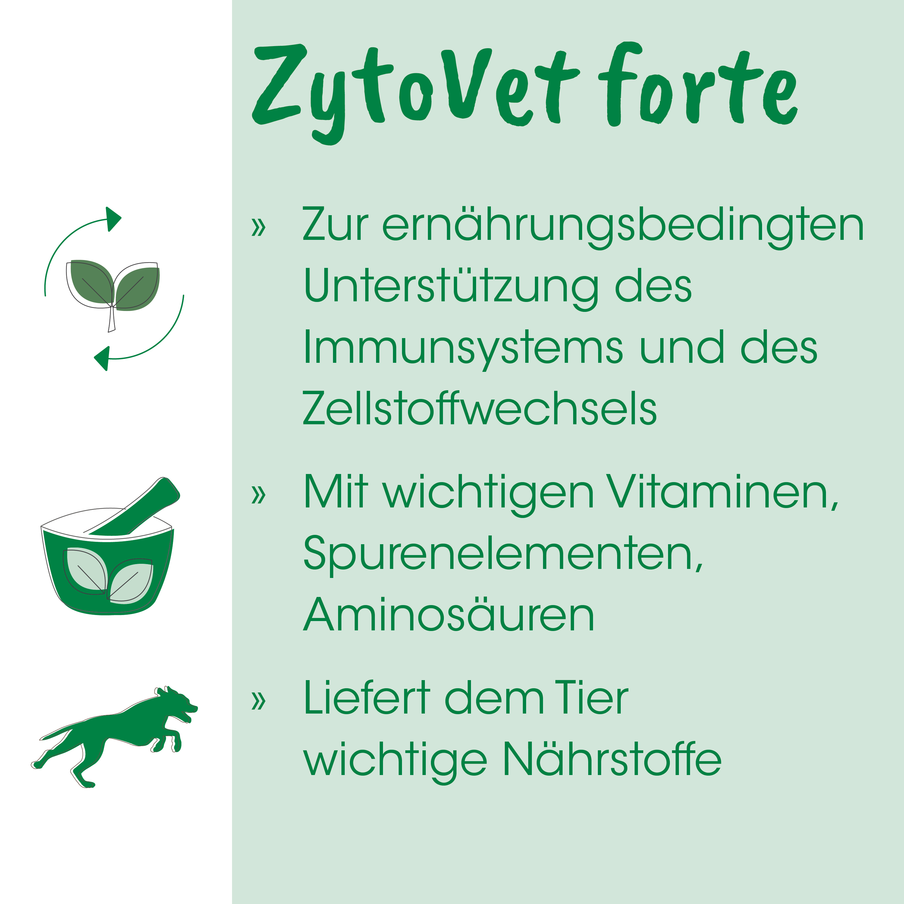 ZytoVet forte 25 g