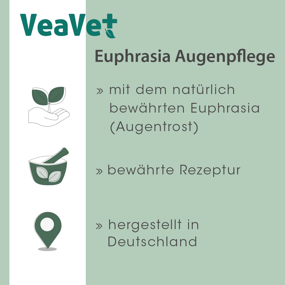 Shopbild Werbung, Kräuterig, Kräuter, Pflanze, Plakat