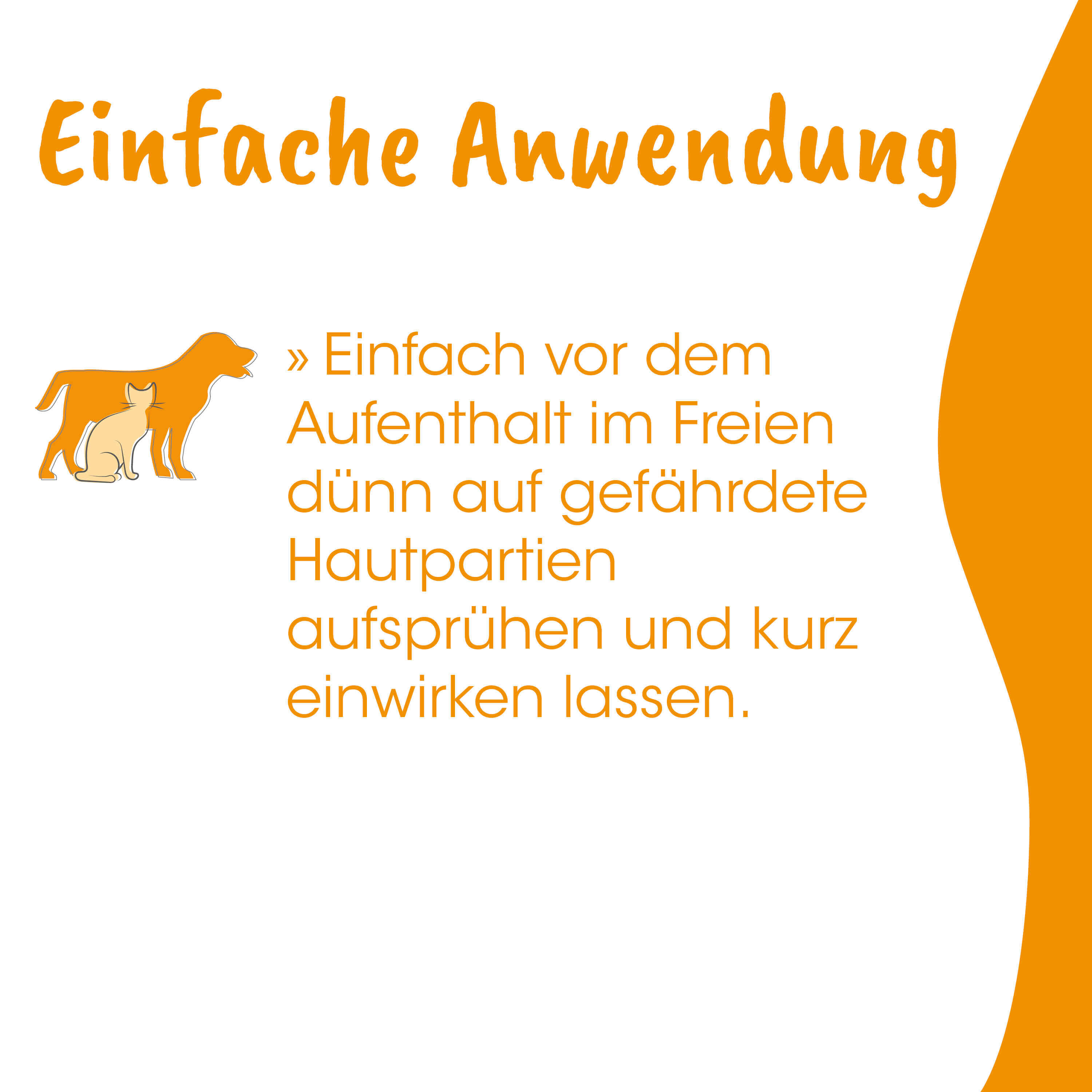 Hund, Katze, Illustration, Orange, Text
