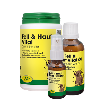 Aktions-Bundle PET "Fellwechsel" Kräuterig, Kräuter, Pflanze, Würzen, Sirup
